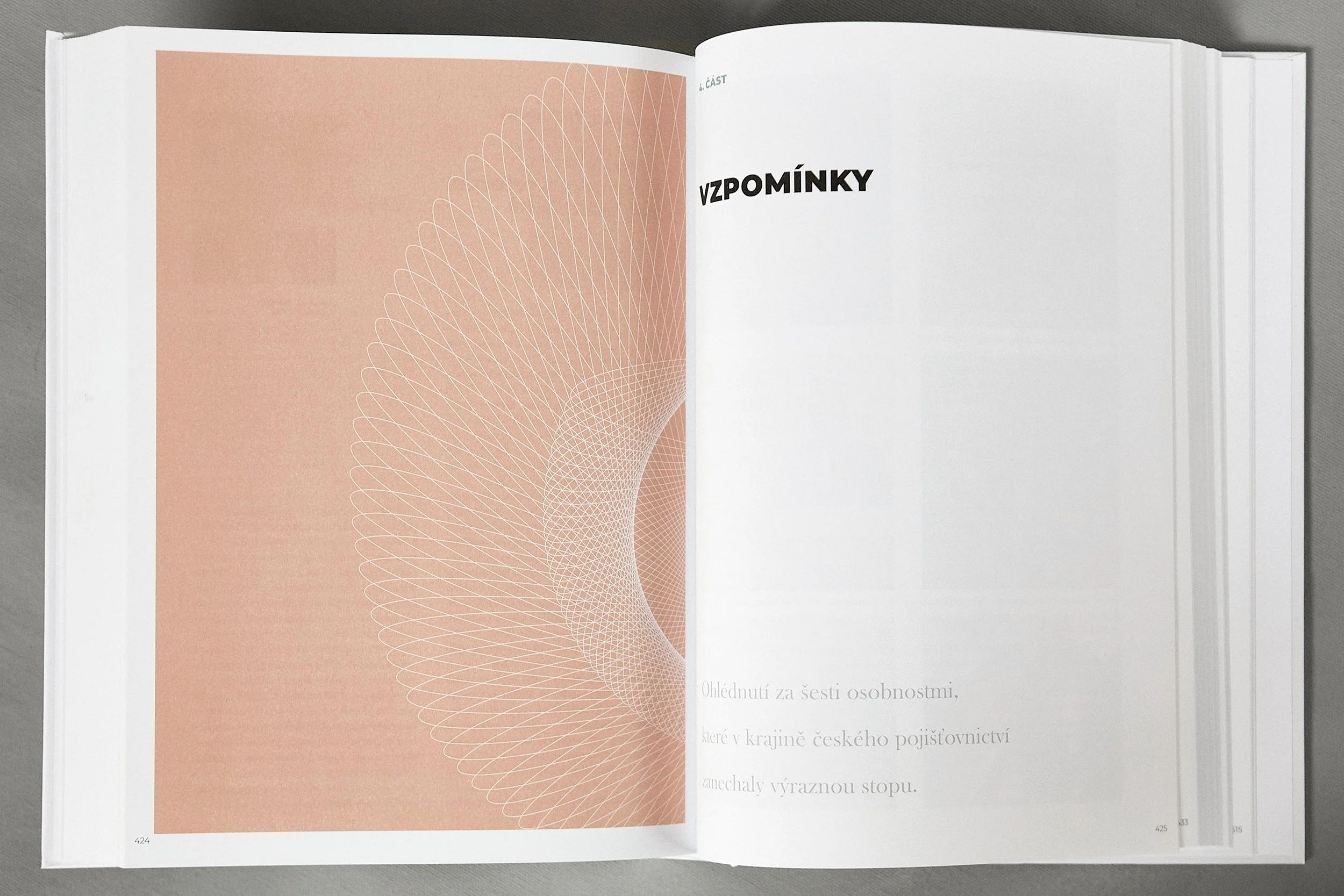 Czech Insurance Association / Book Design