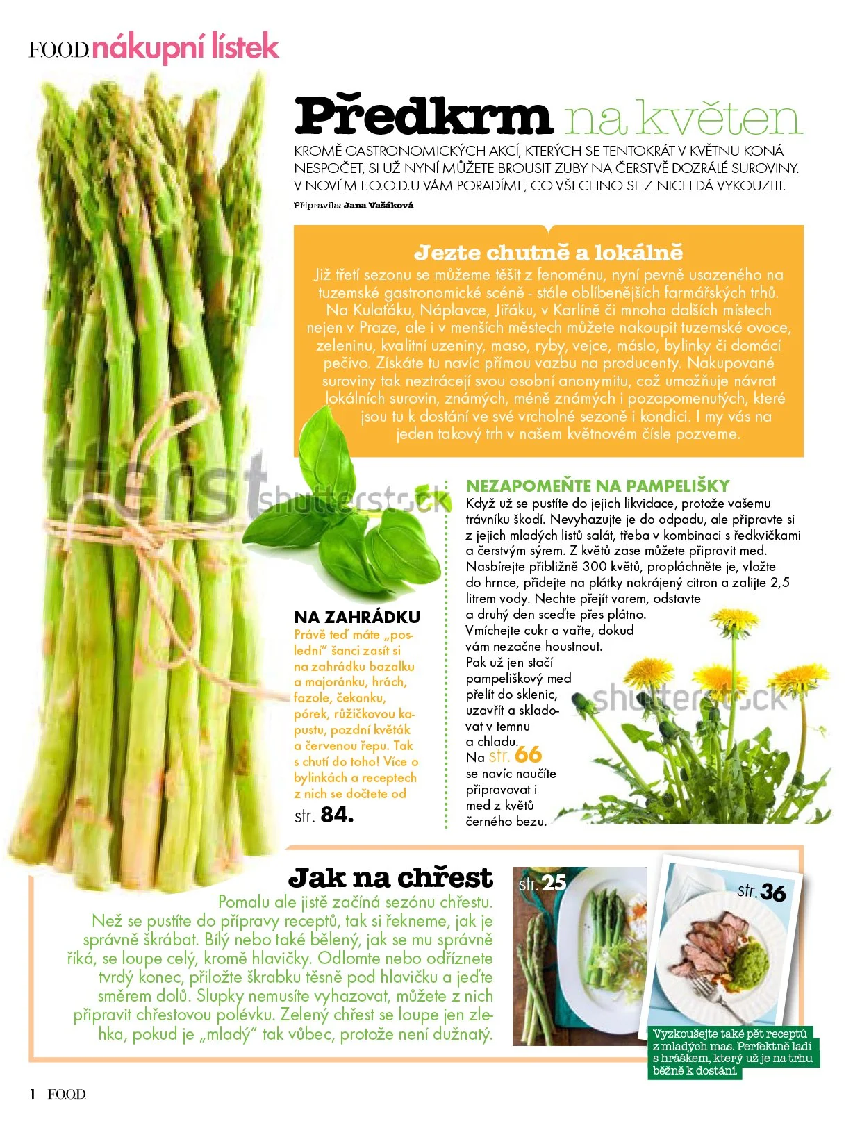 FOOD / Magazine Redesign