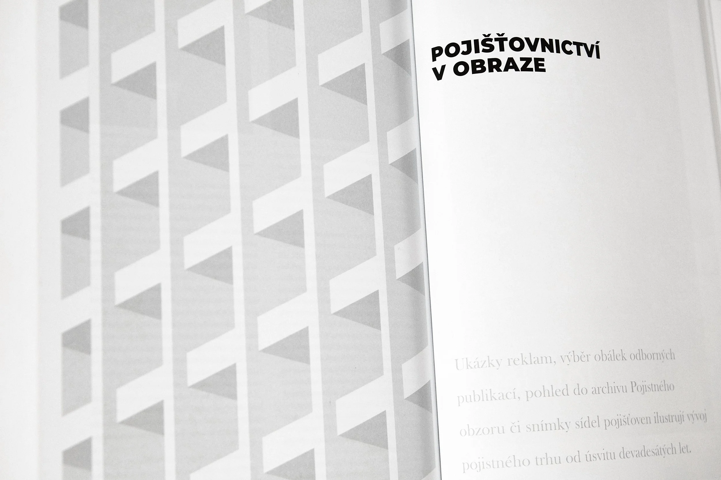 Czech Insurance Association / Book Design