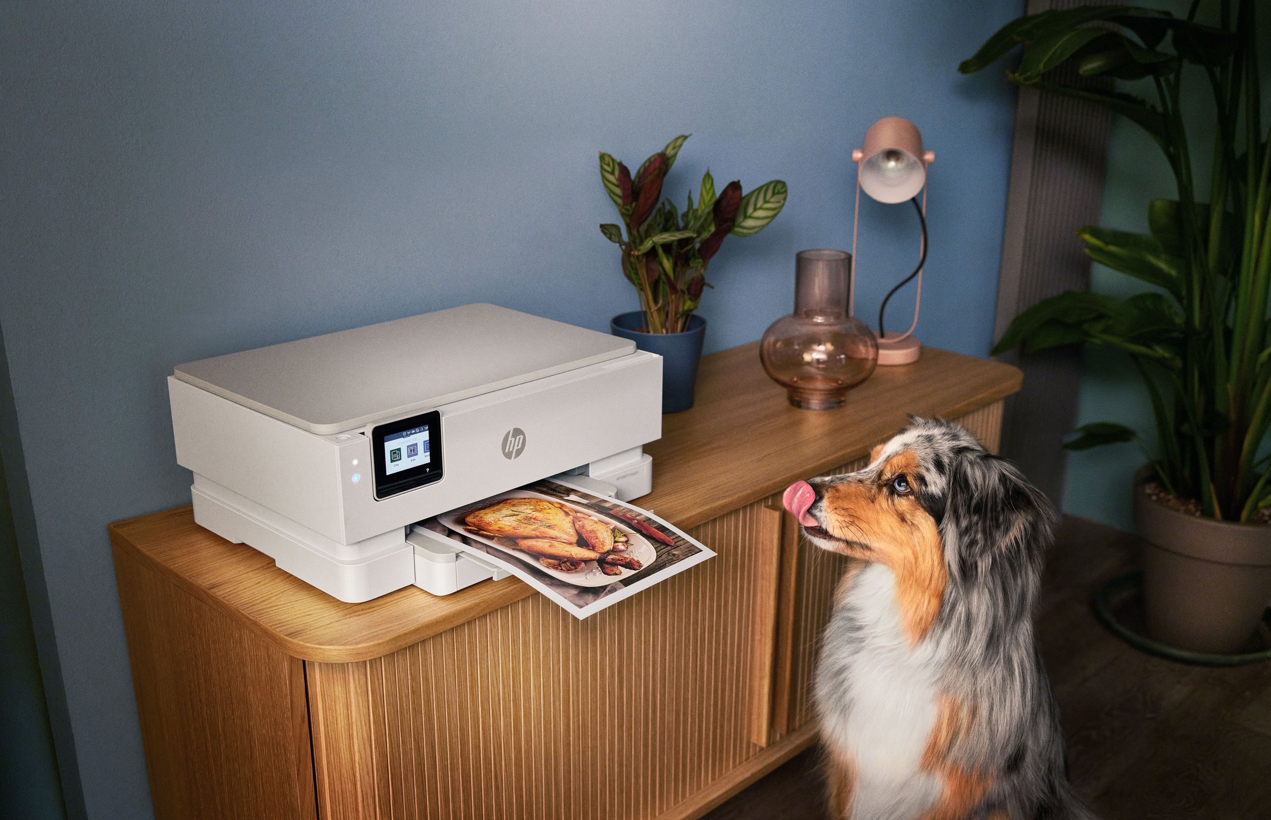 Hewlett-Packard / Campaign Photography