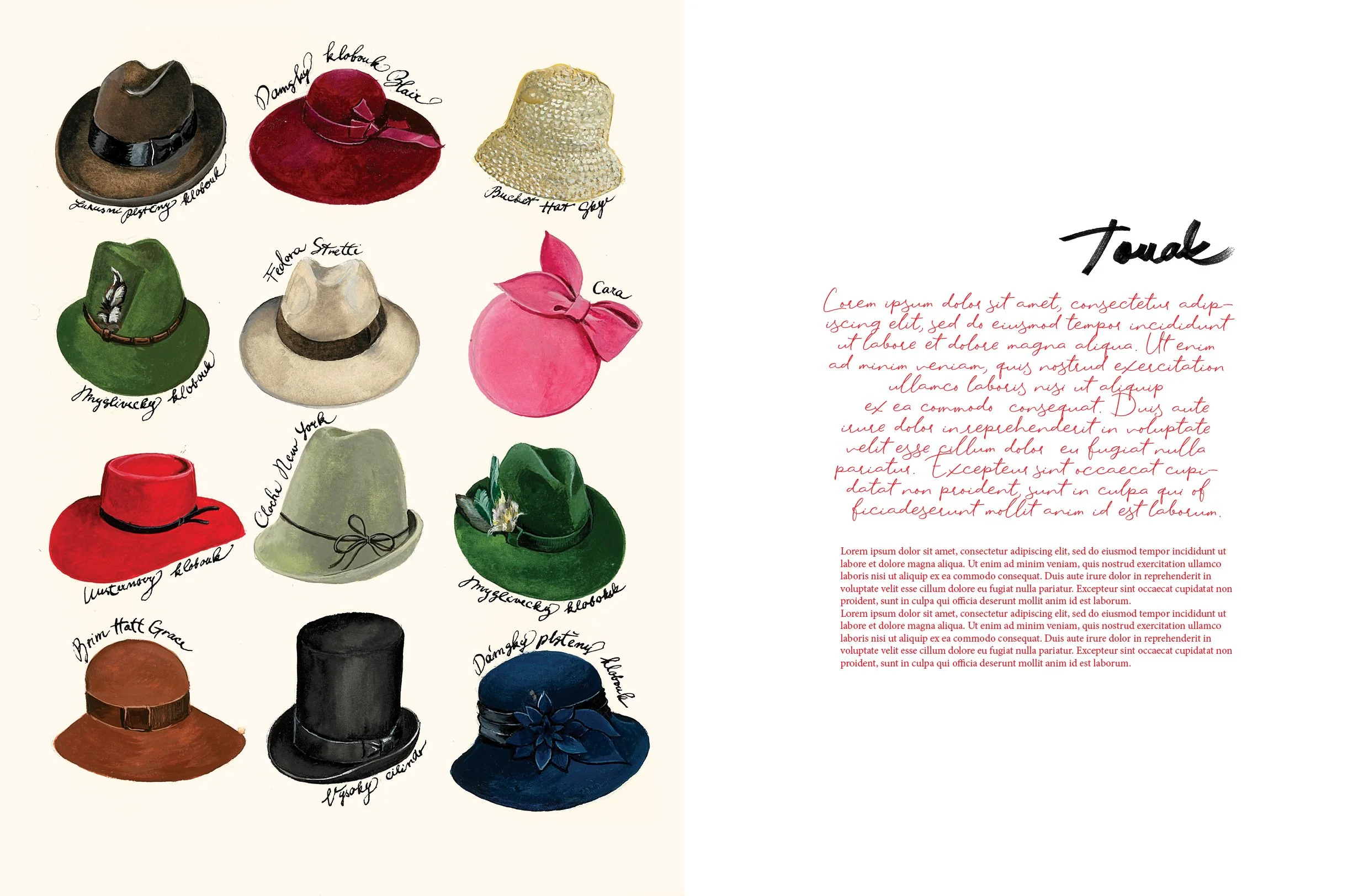 Magic Mag / Illustrations & Graphic Design