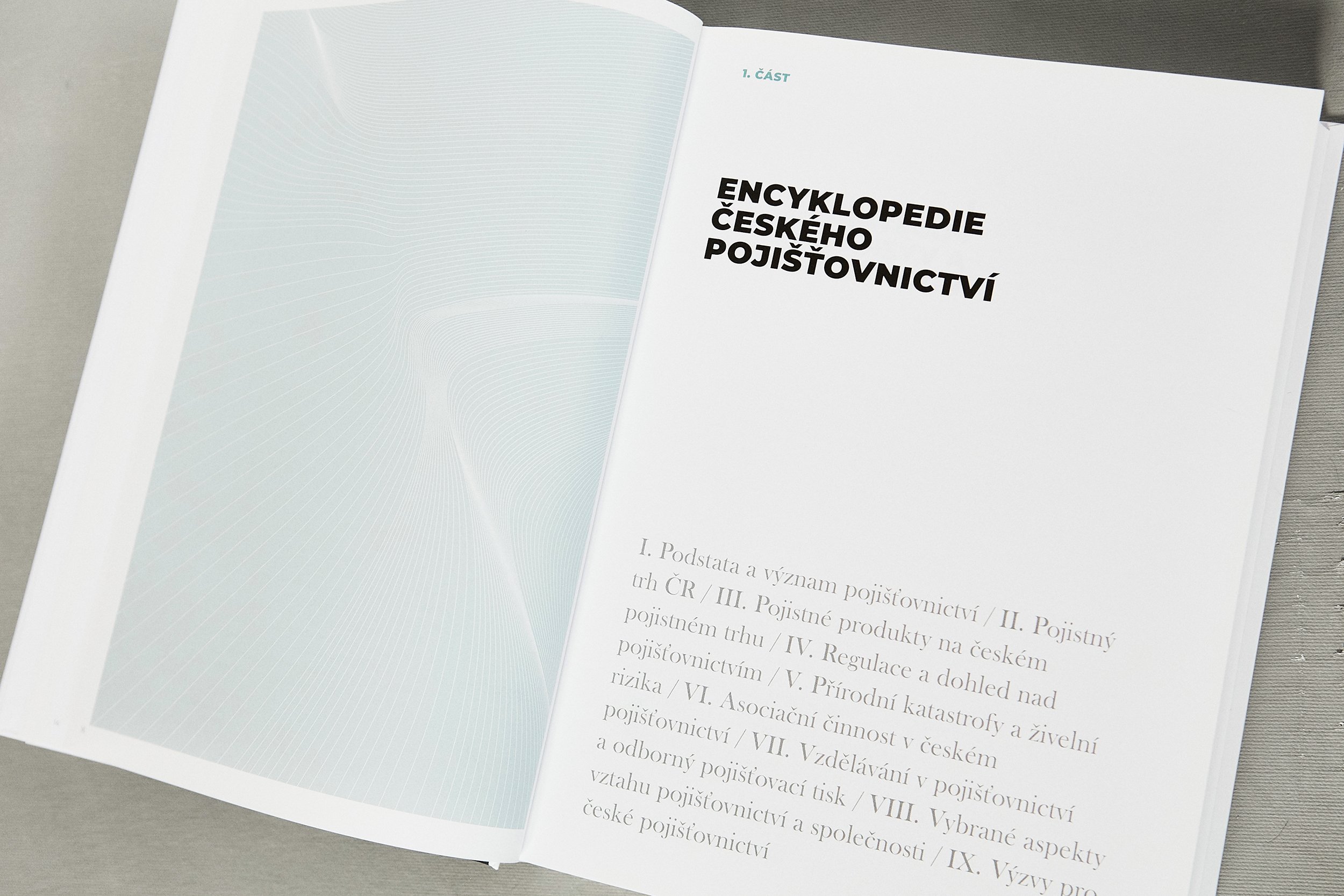 Czech Insurance Association / Book Design