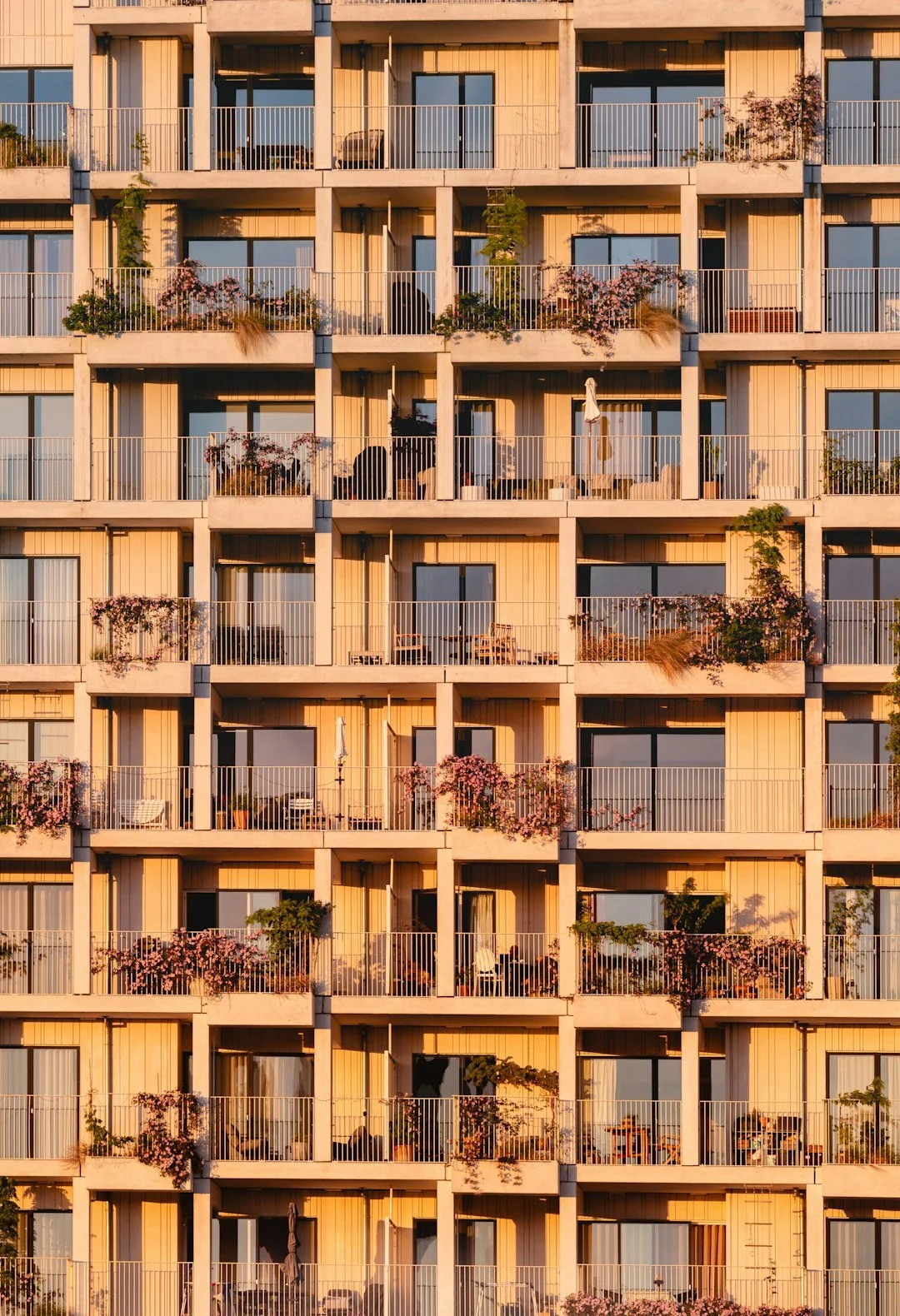 Multiple apartment balconies at sunset with potted plants, outdoor furniture, and pink flowering vines.