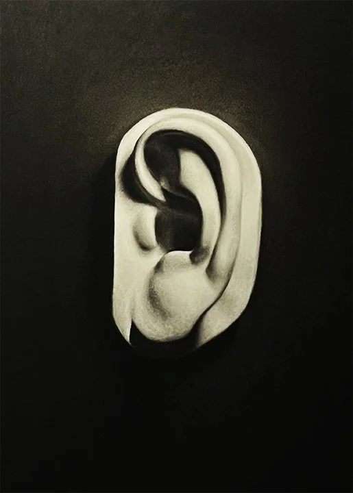 DAVID'S EAR
Charcoal on Paper
14x16