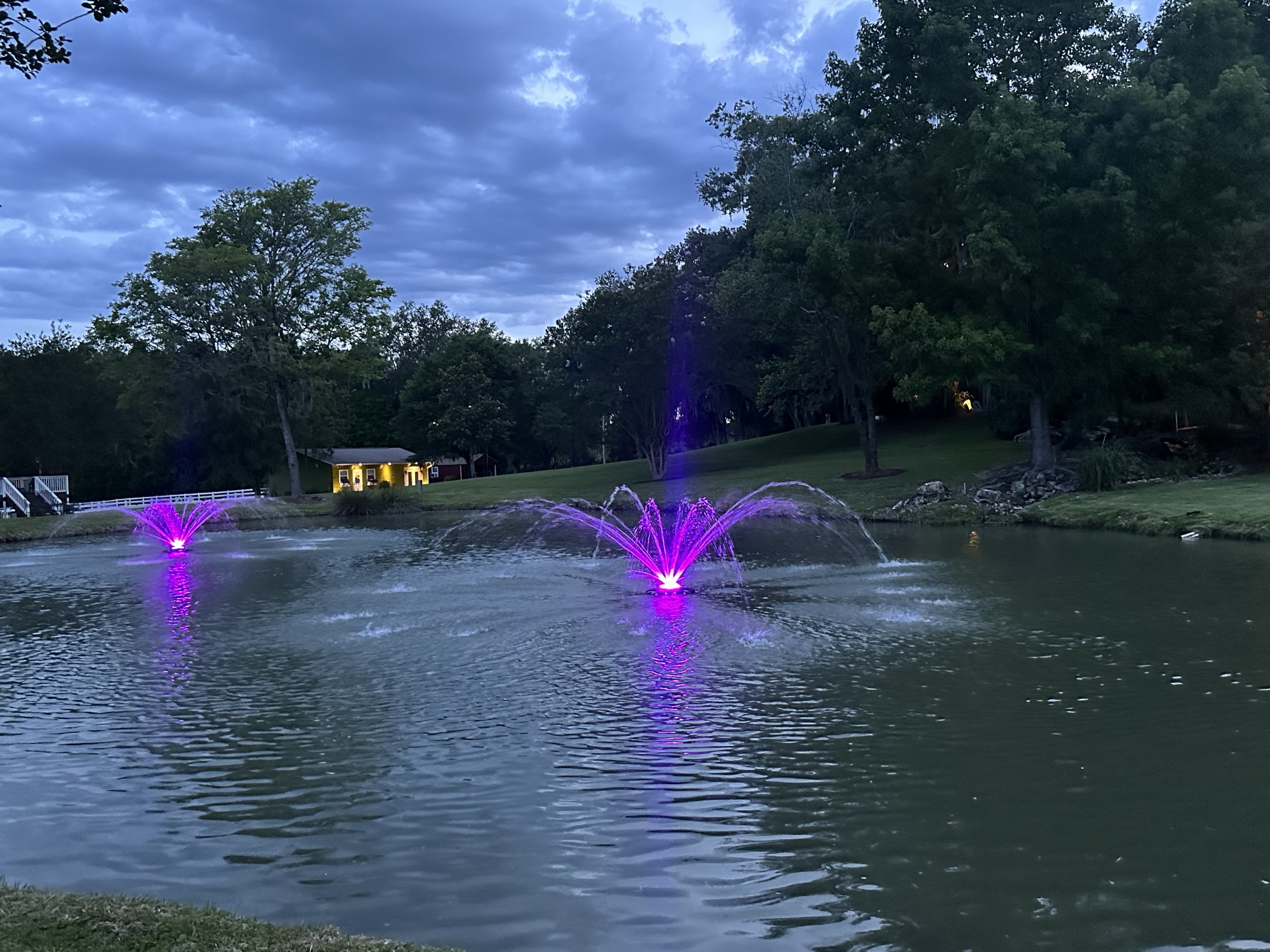 farm pond lights.jpeg