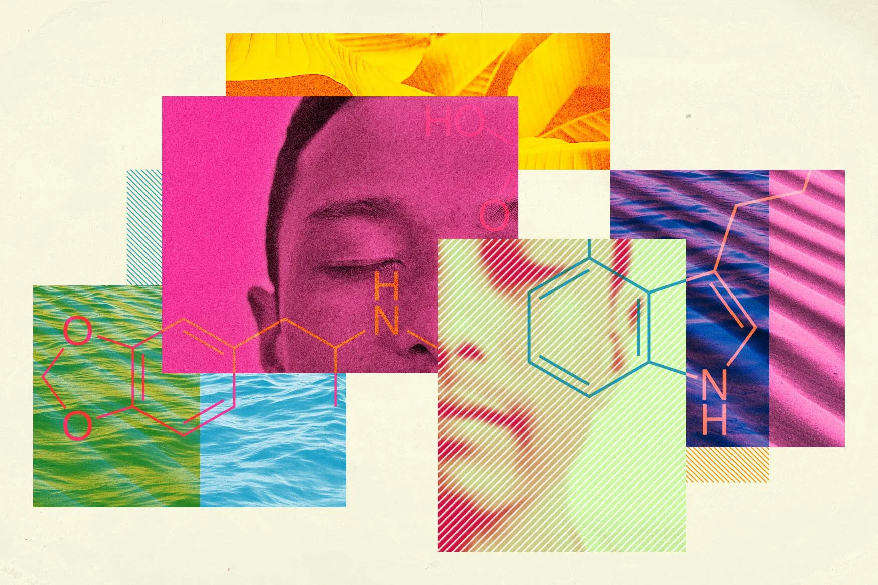 Psychedelic-Informed Work