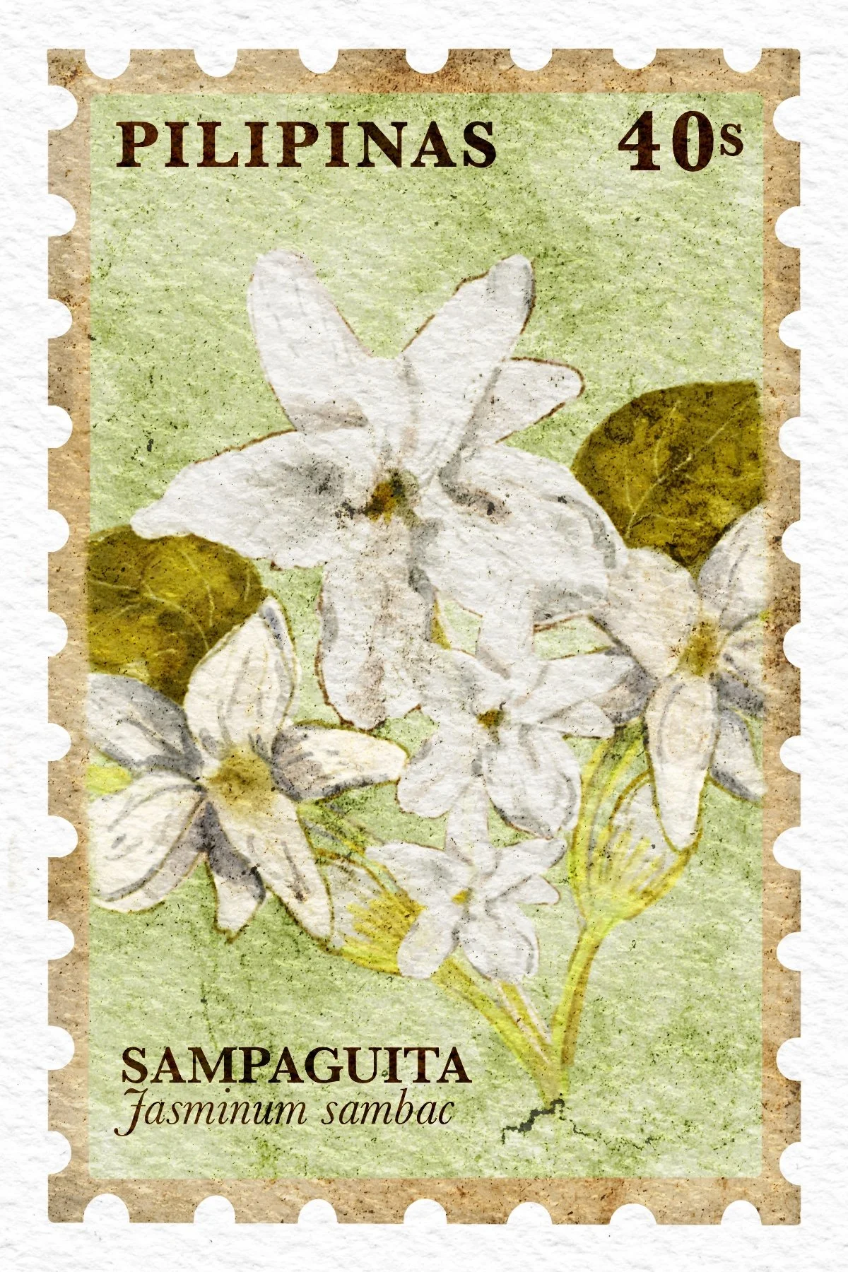 MW-BPS-01 Sampaguita