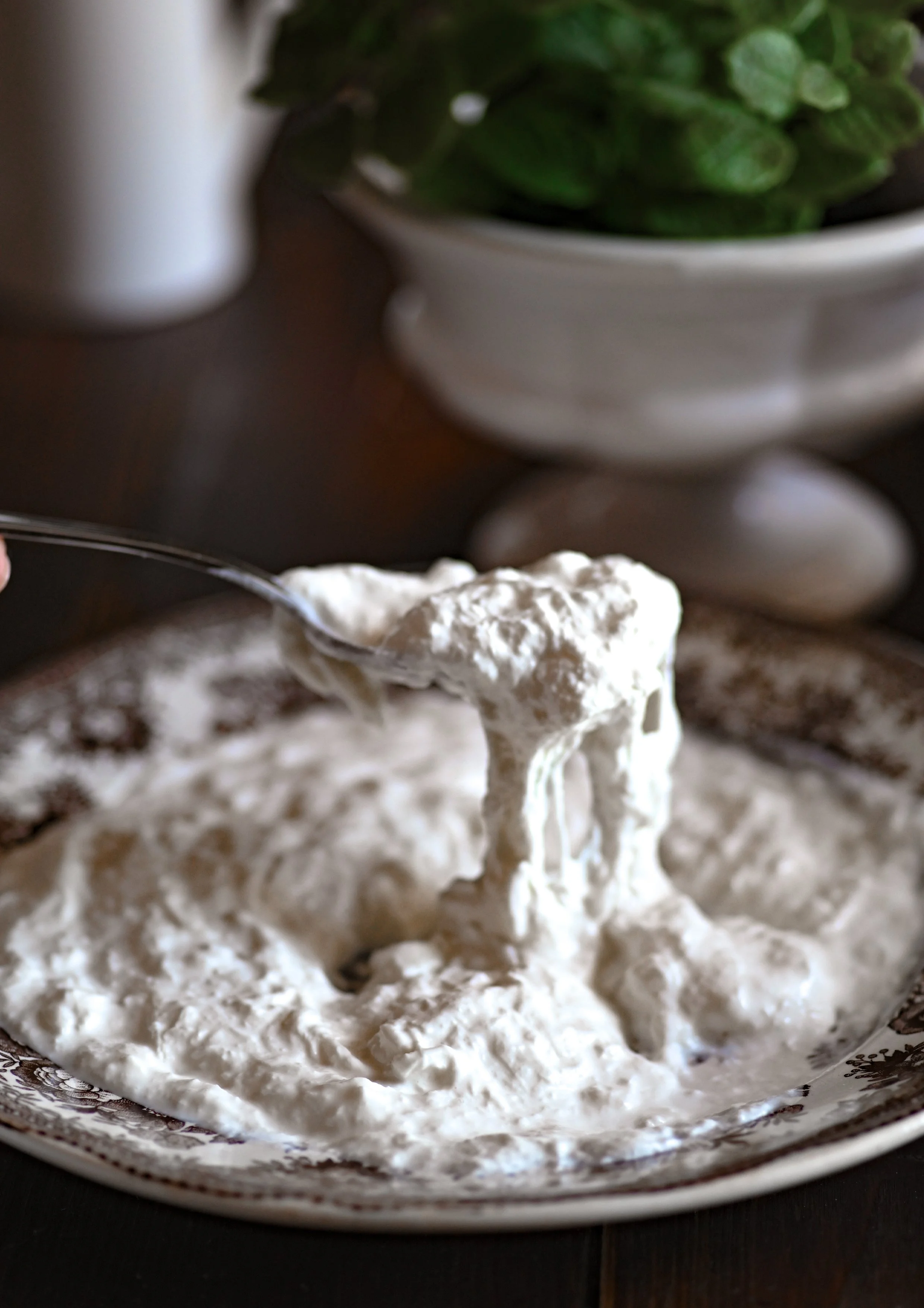 La burrata in crema : il suo cuore goloso
