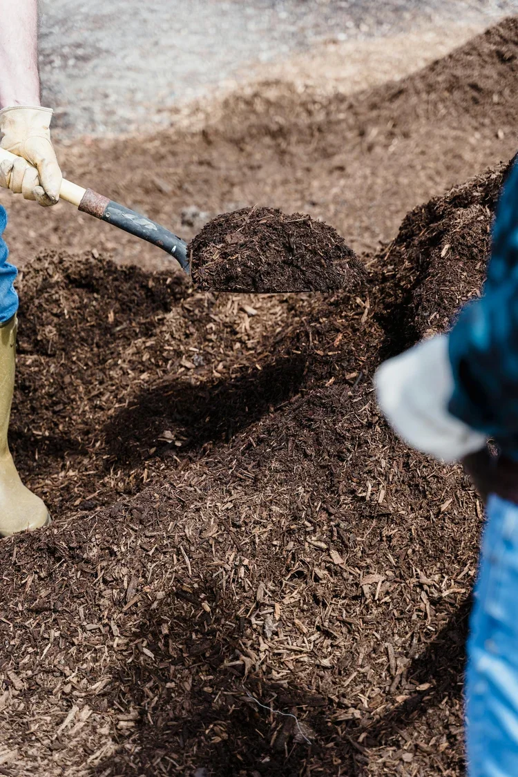 Person using a shovel to move dark soil or mulch in a gardening or landscaping project, with another person nearby.