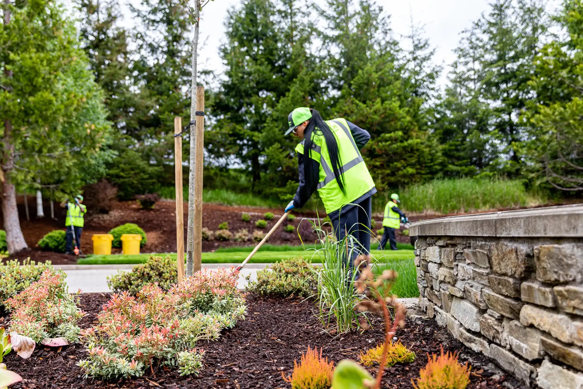 People planting trees and landscaping in a park, wearing safety vests, with lush green trees and a stone wall in the background.