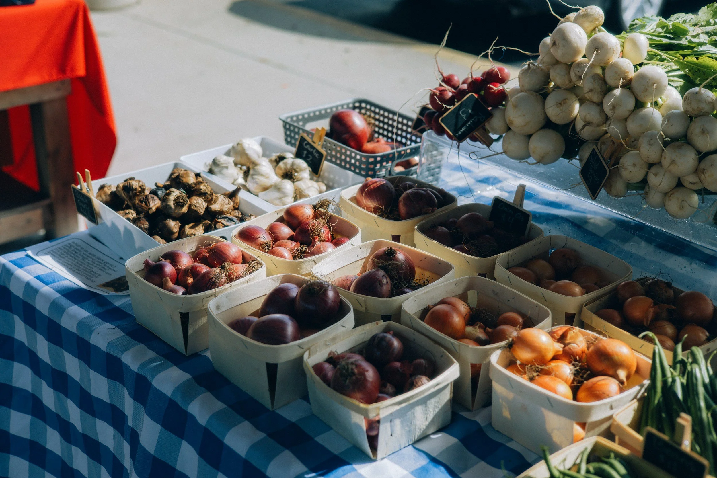 Fresh produce on display at an outdoor market, including onions, garlic, radishes, and turnips in baskets on a table covered with a blue and white checkered tablecloth.