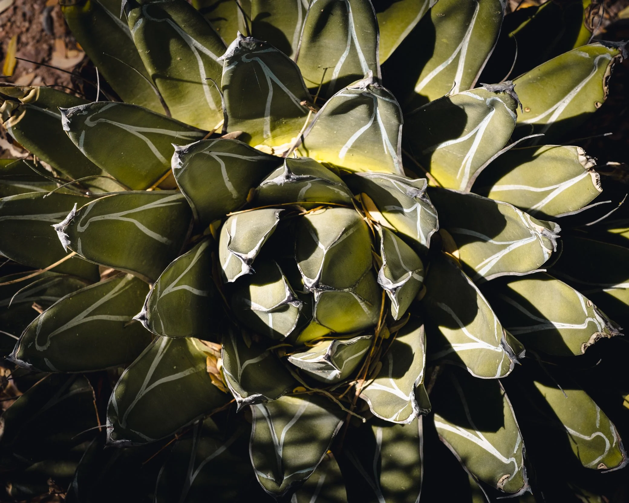 _XT47370-Edit.jpg