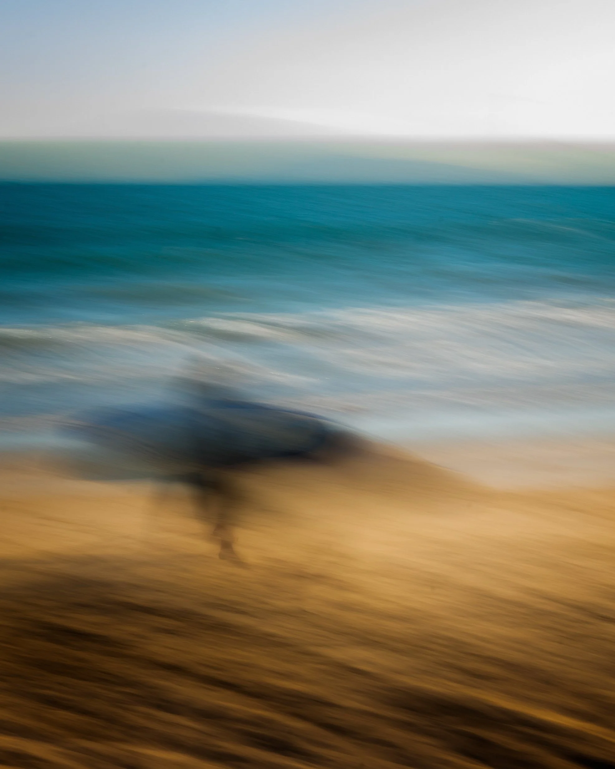 DSC_4313-Edit-2.jpg