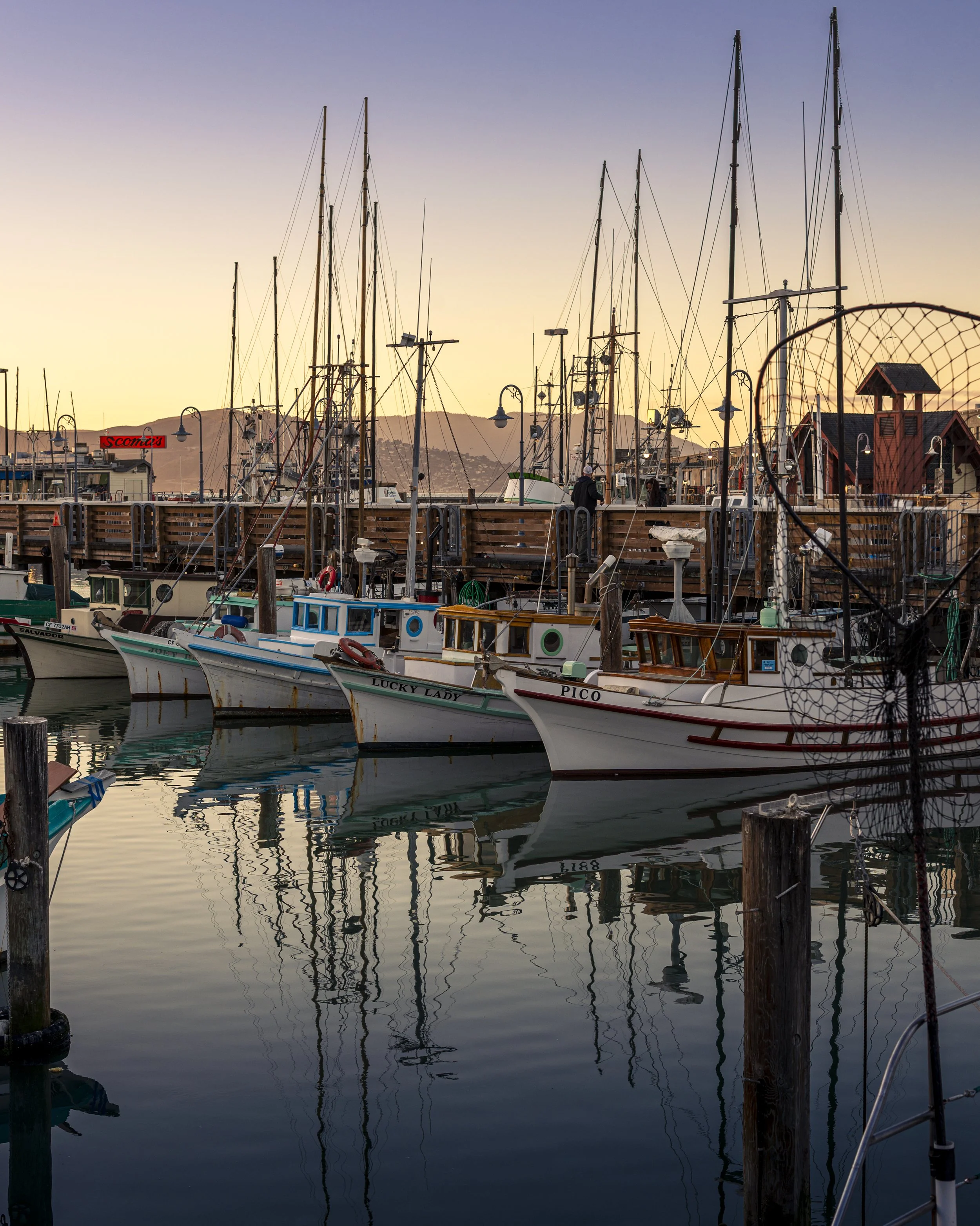 D61_0237-Edit-4.jpg