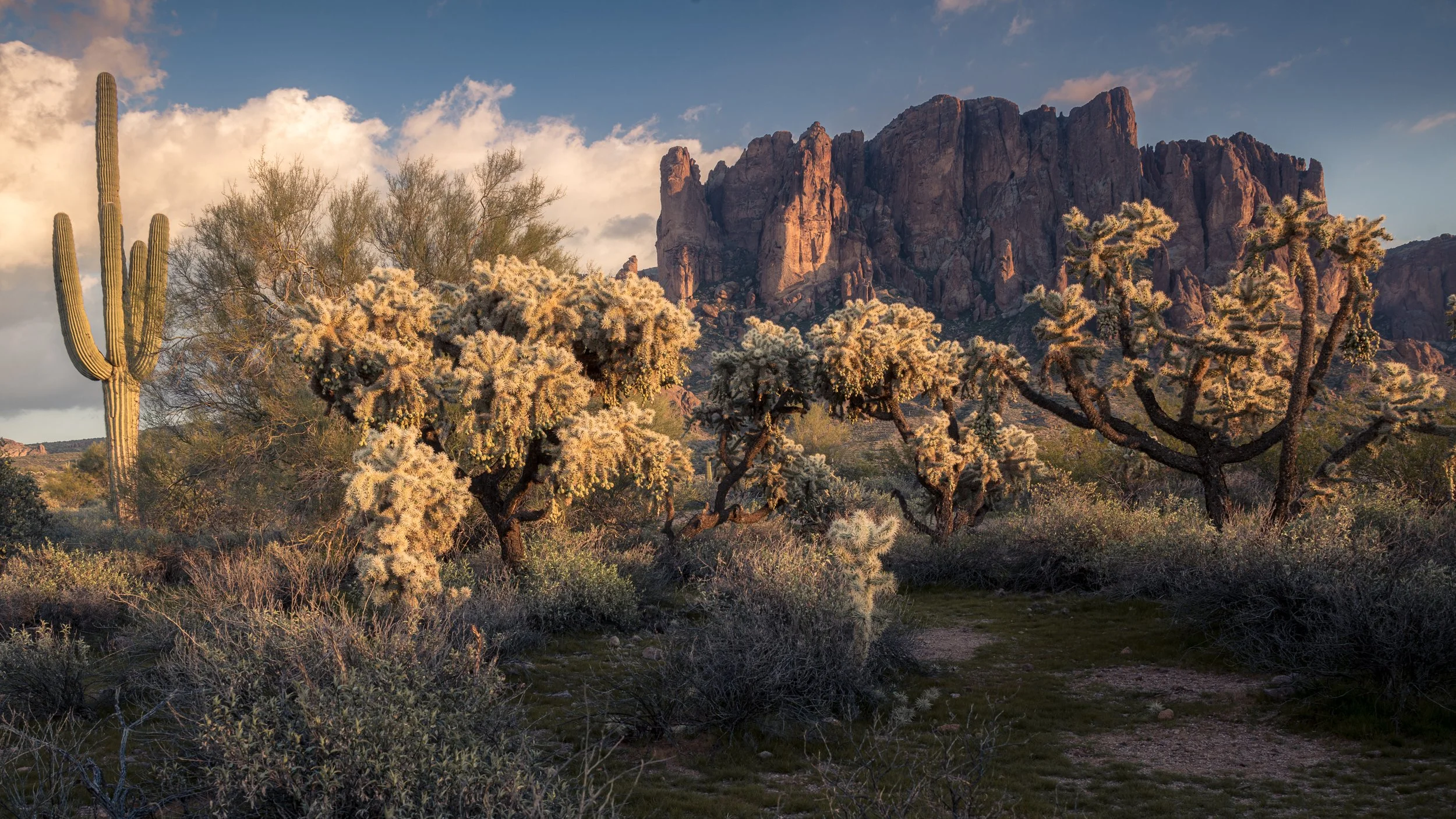 DSC_0049-Edit-3.jpg
