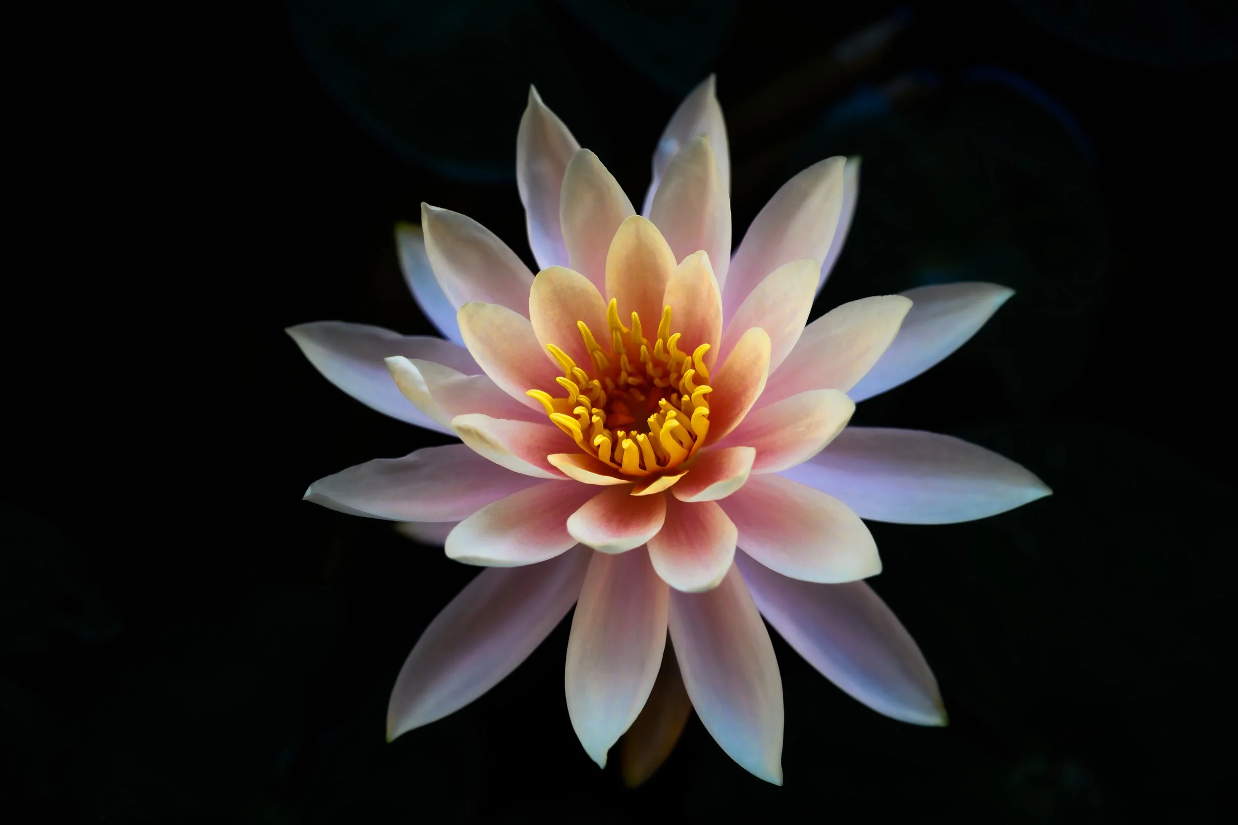 Z72_1350-Edit.jpg
