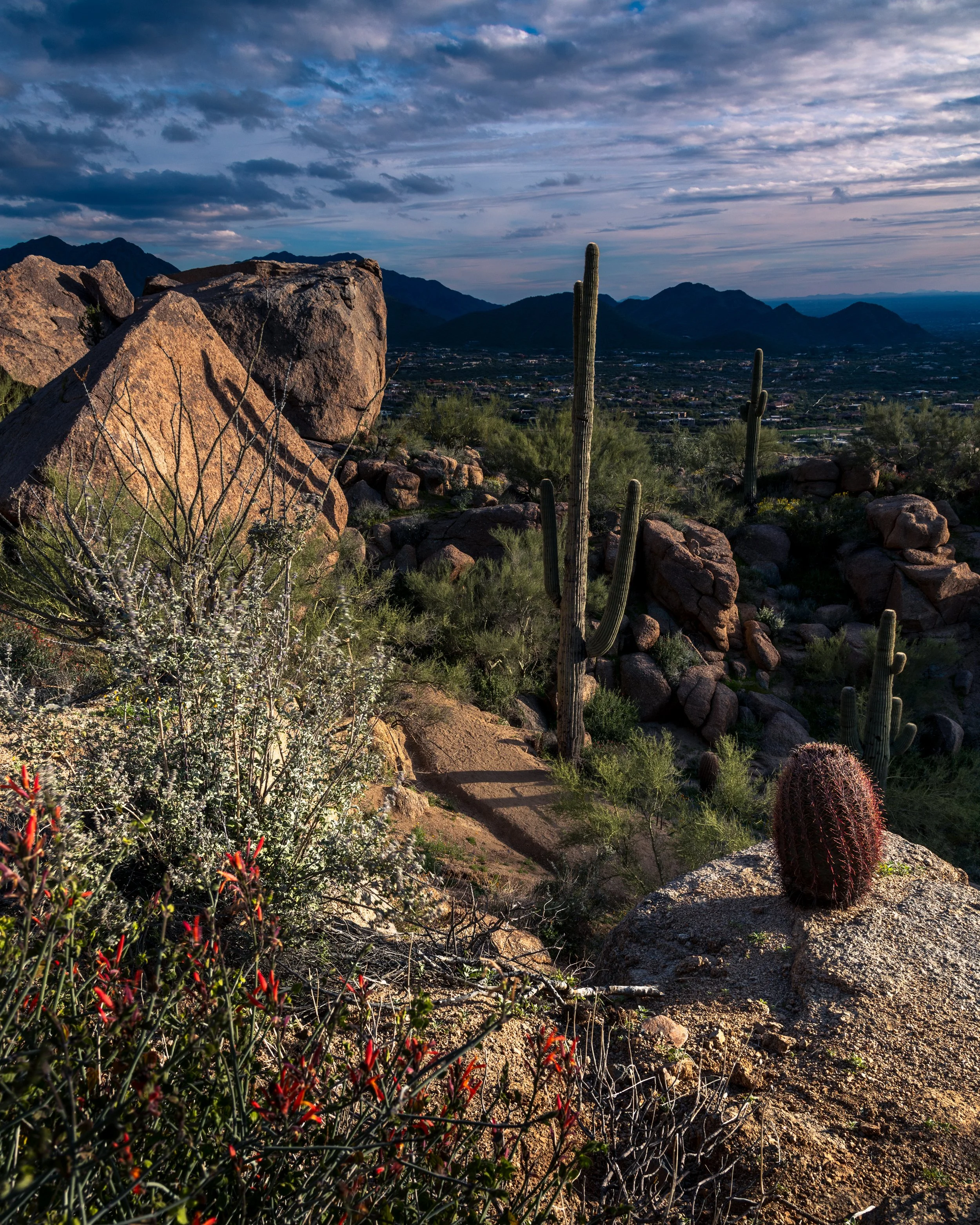 DSC_0486-Edit.jpg