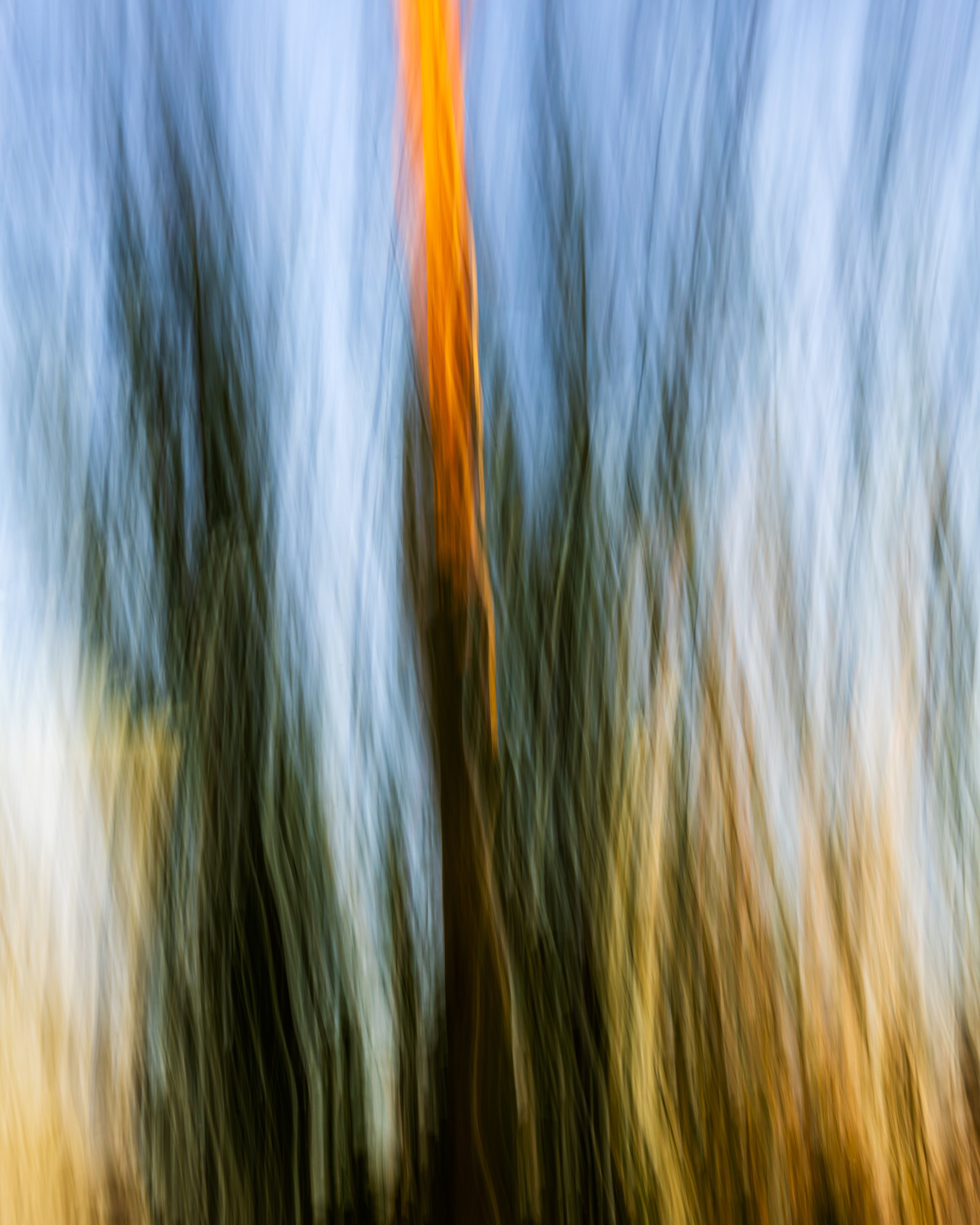 DSC_4022-Edit.jpg