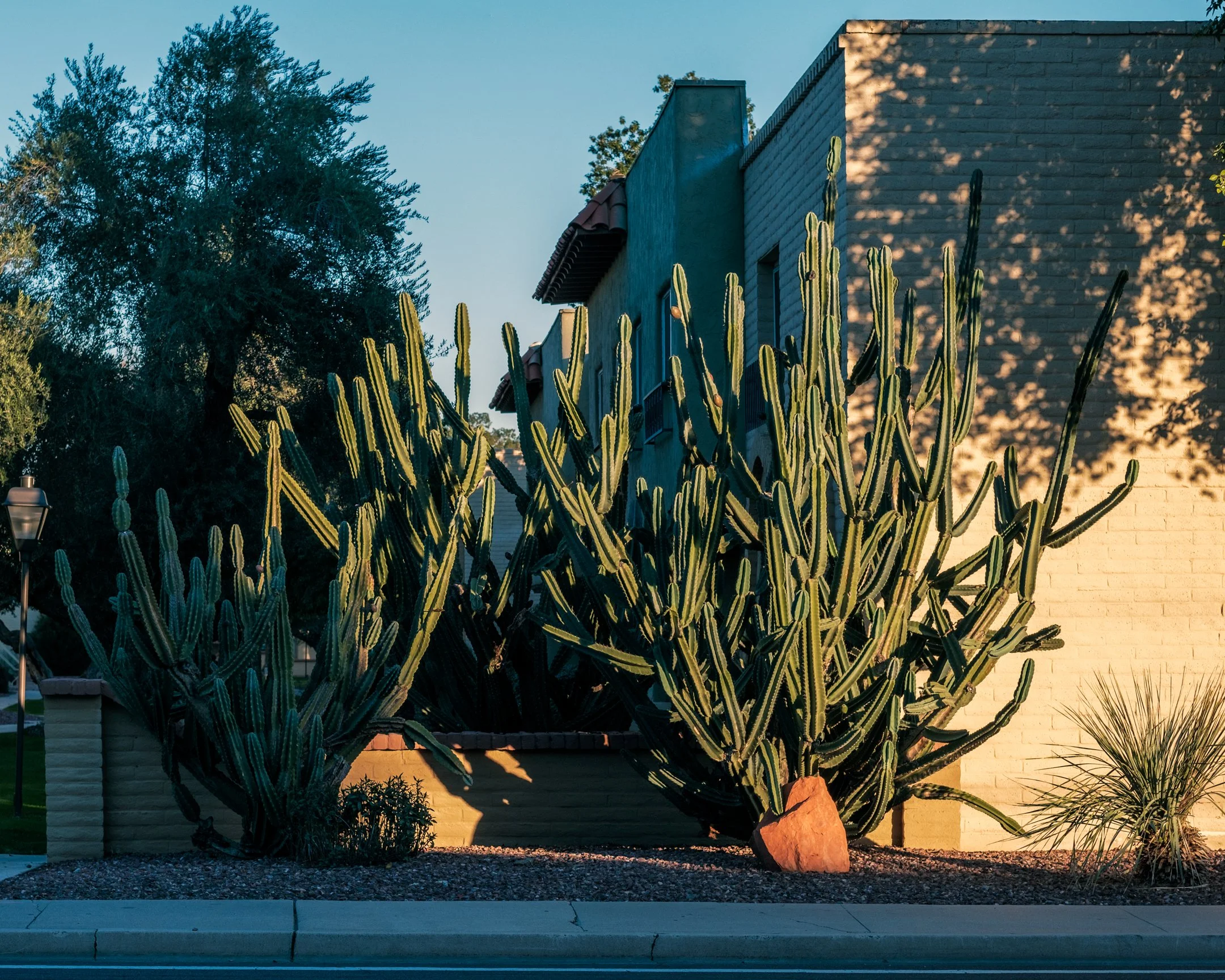 _XT46783-Pano-Edit-2.jpg