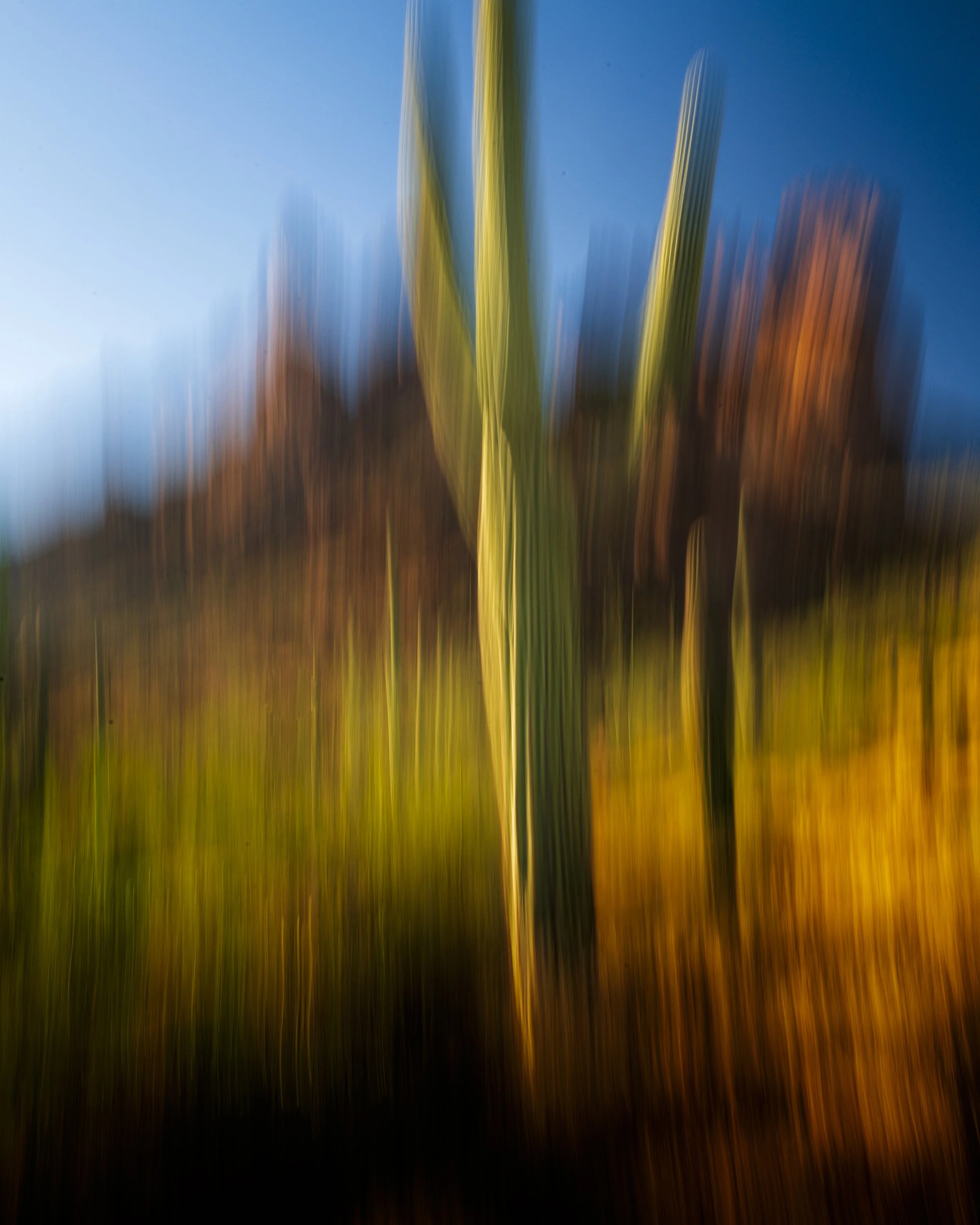 DSC_4085-Edit.jpg
