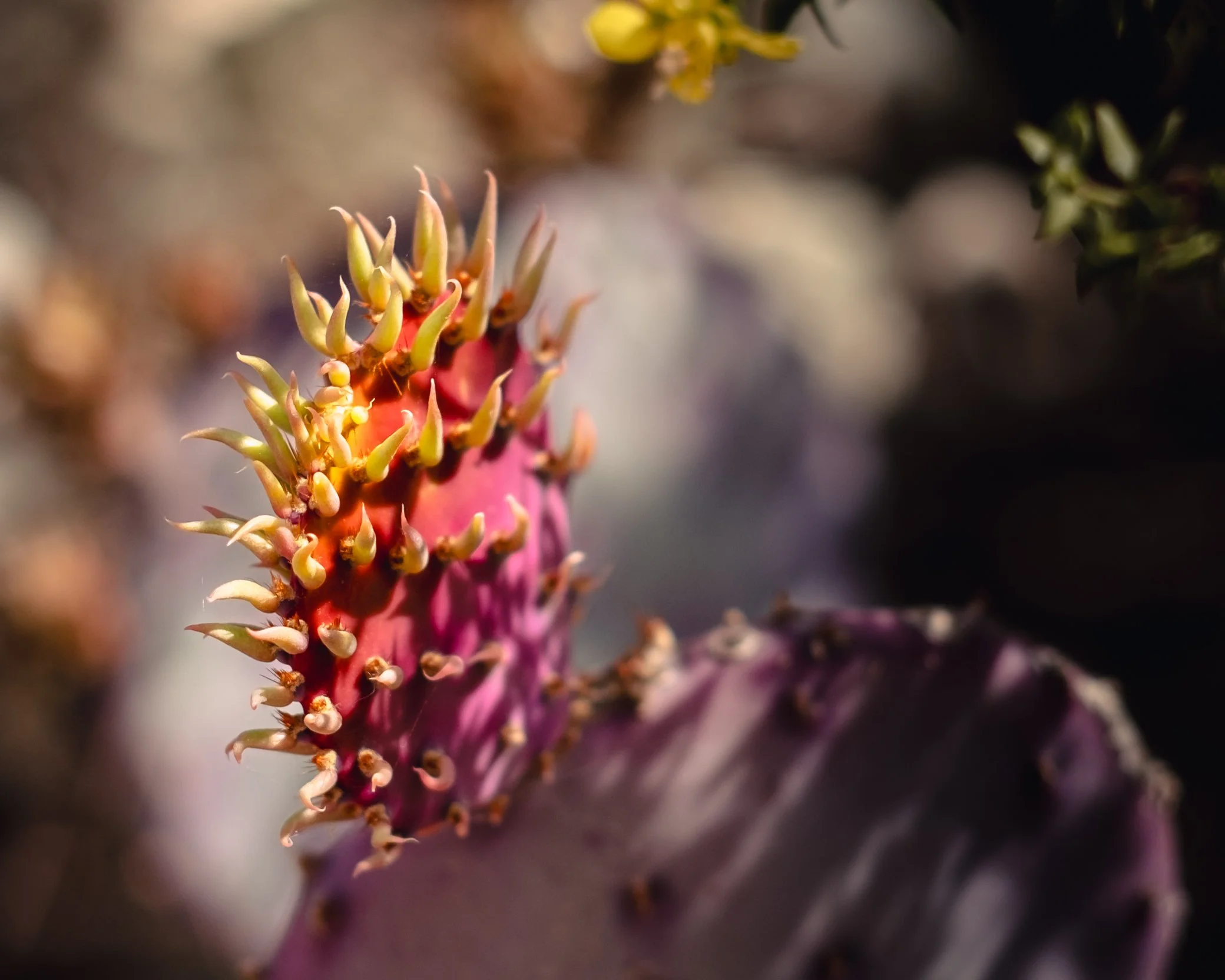 _XT47179-Edit.jpg
