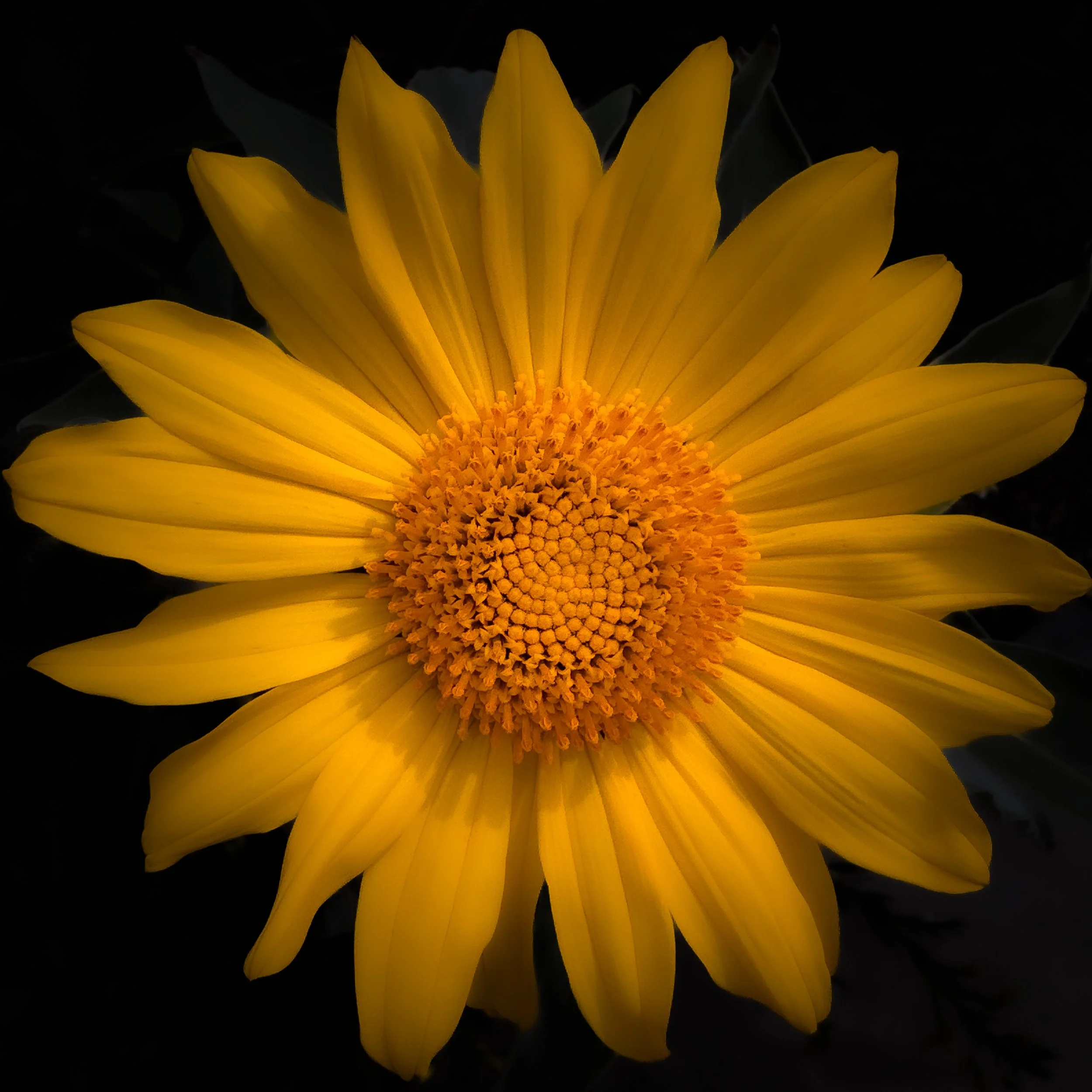 IMG_9001-Edit.jpg