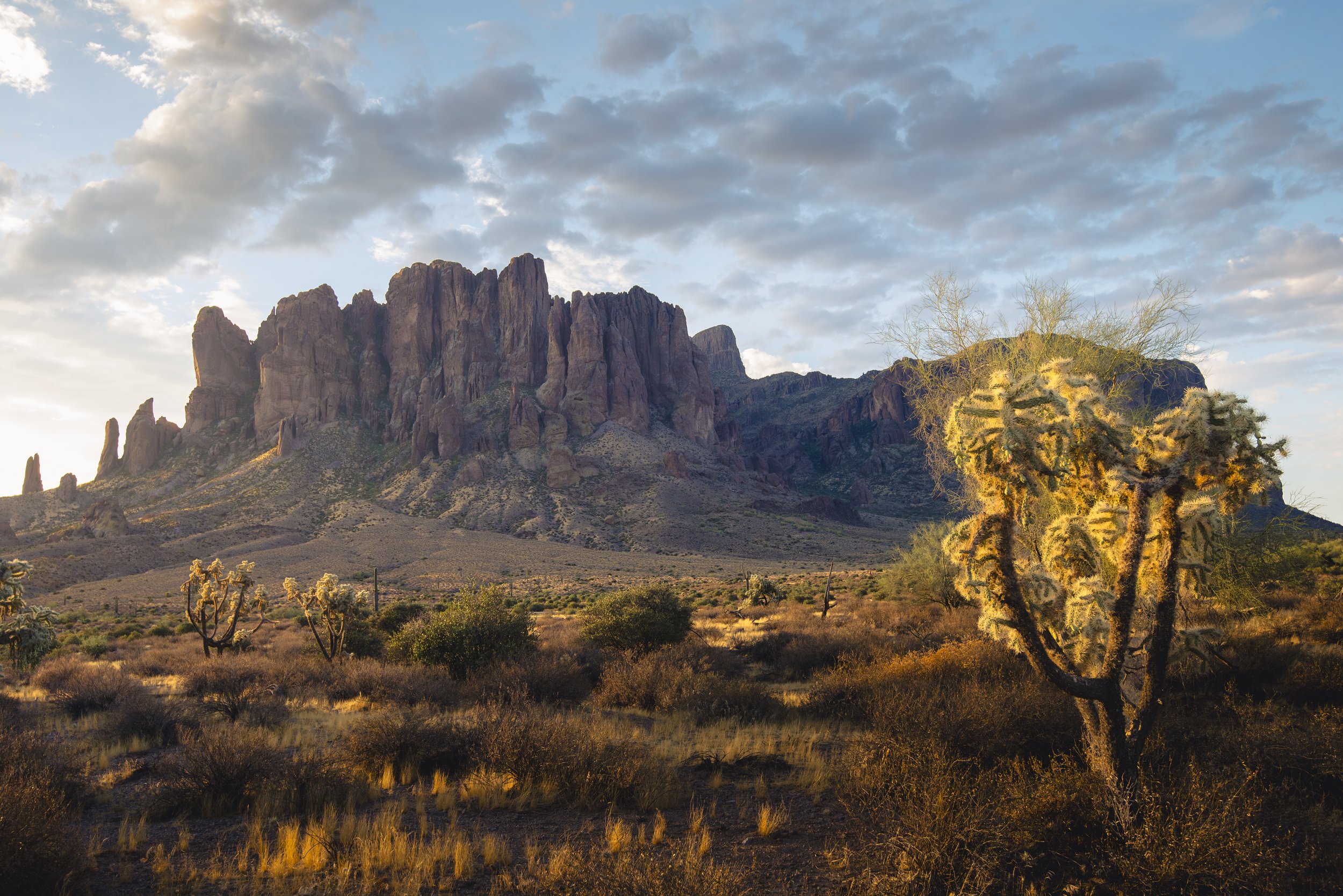 D61_5542-Edit-2.jpg