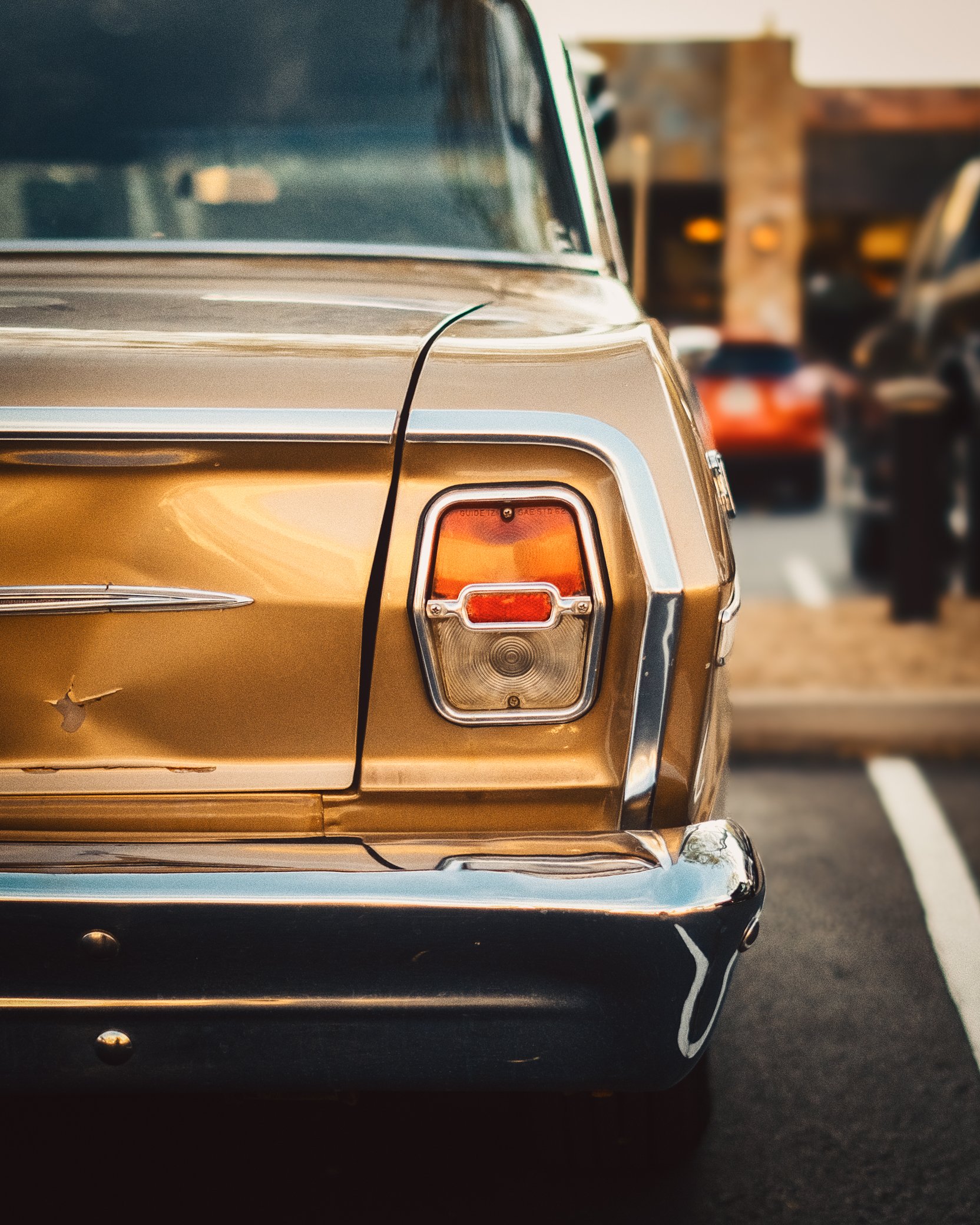 XE4F9080-Edit-2.jpg