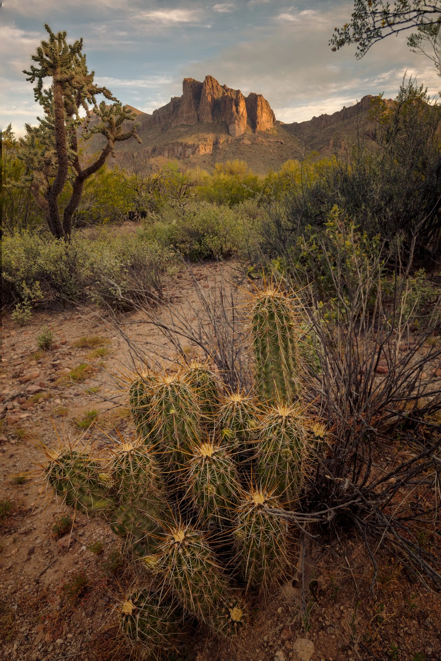 DSC_5055-HDR-2-Edit.jpg