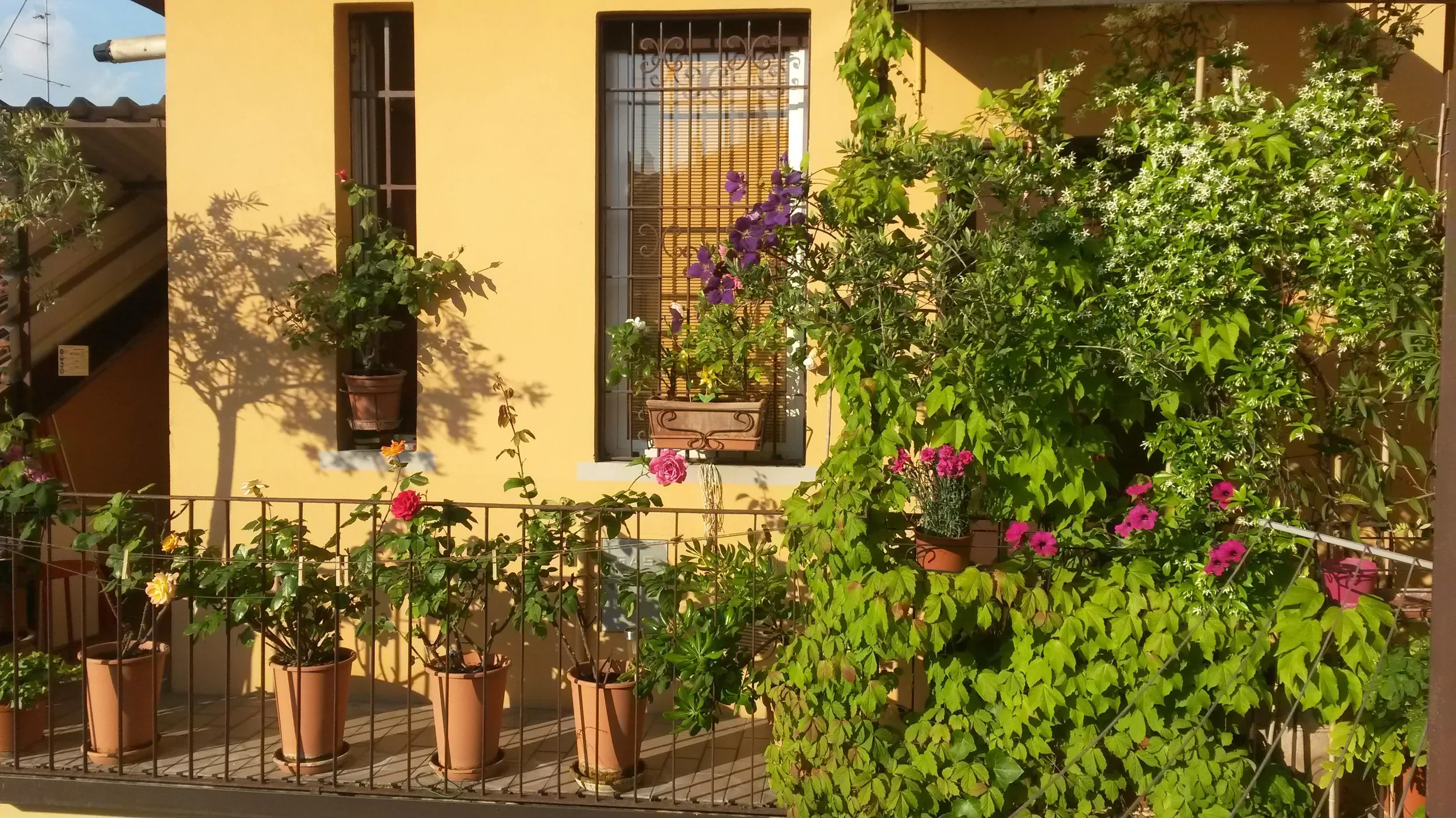 Flowered balcony overlooking the inner courtyard of the historic Milanese building, Milano