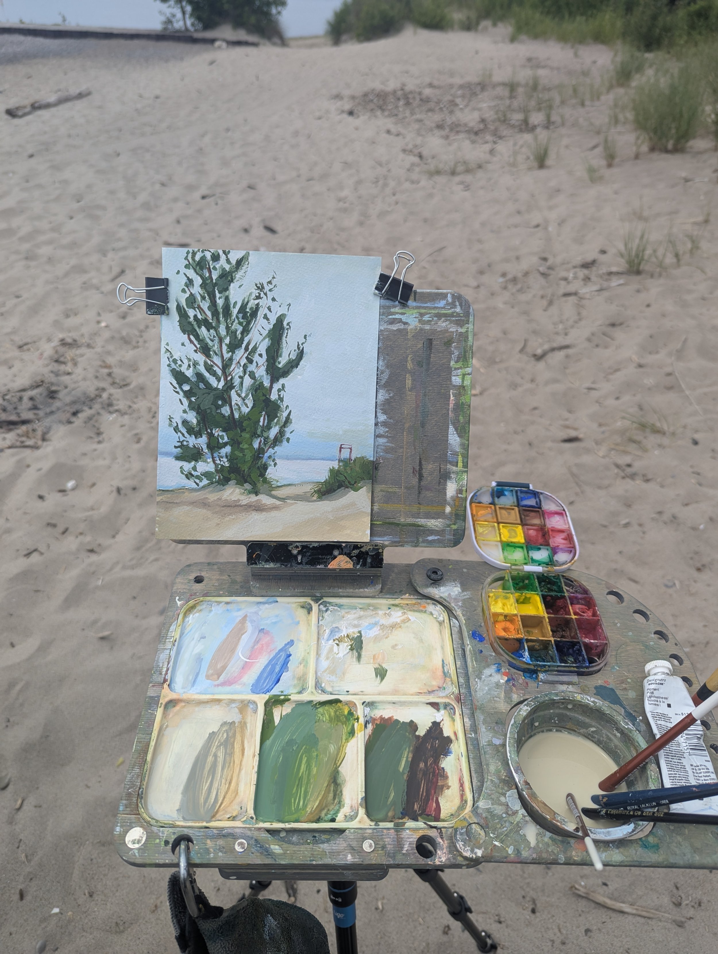 An outdoor artist's work station with a watercolor painting of a tall green pine tree, displayed on a portable easel on sandy ground with small plants, and watercolor paints in a palette, brushes, and other art supplies nearby.