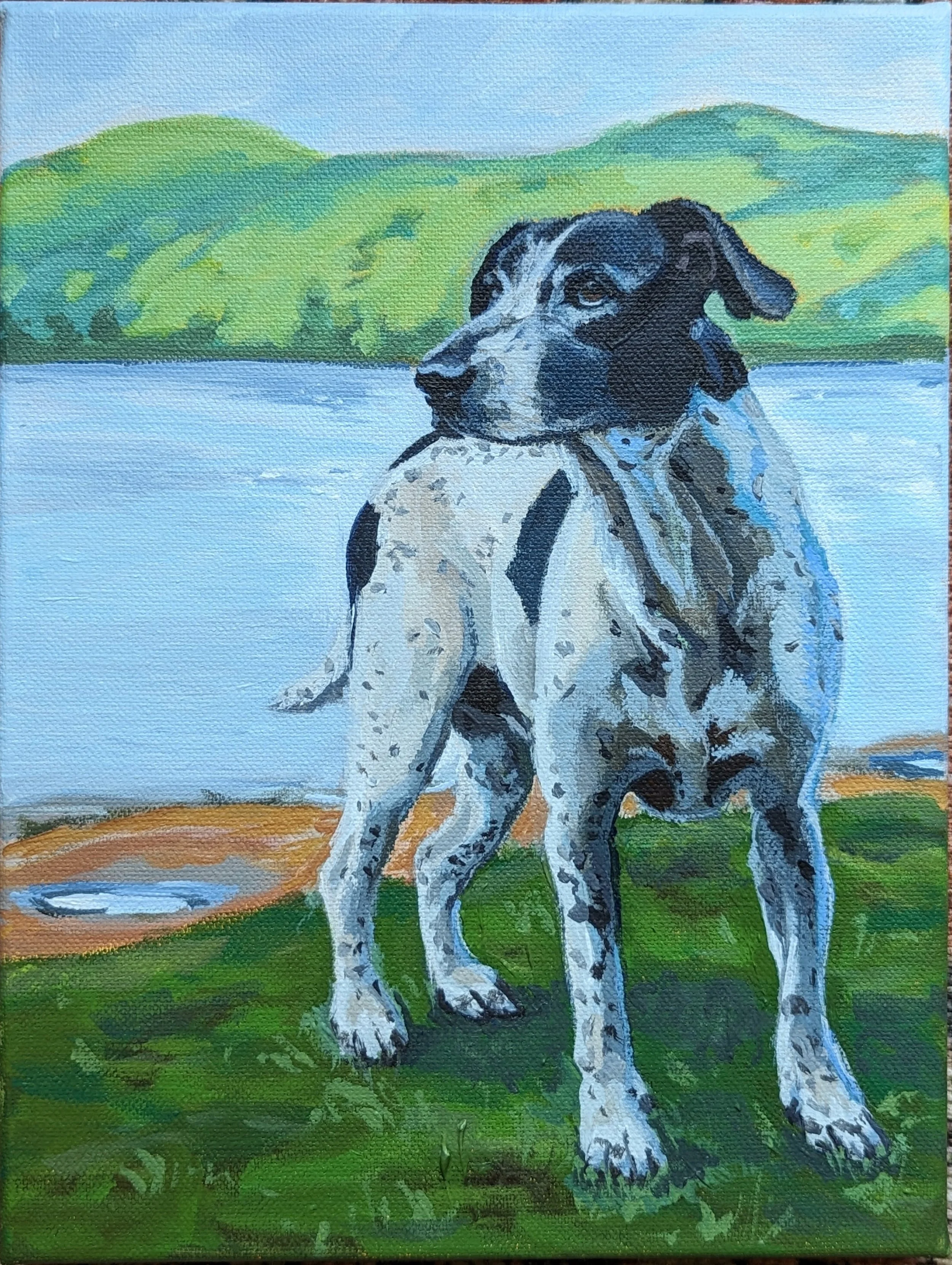 A painting of a black and white dog sitting on green grass by a stream, with rolling green hills in the background under a cloudy sky.