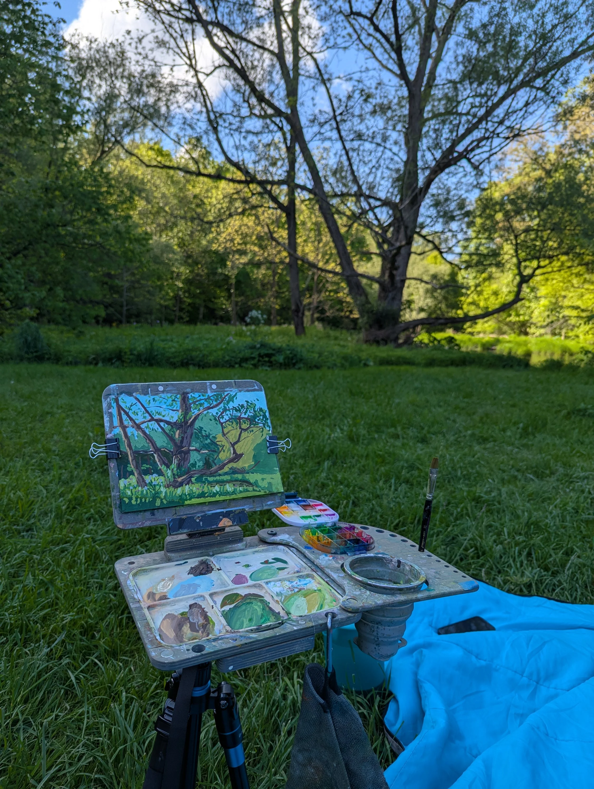 Outdoor scene of an art setup in a grassy area with trees and a blue sky. A portable painting easel with a colorful landscape painting and a palette of paints, brushes, and other art supplies on a small table are visible. A tripod stands nearby, and 