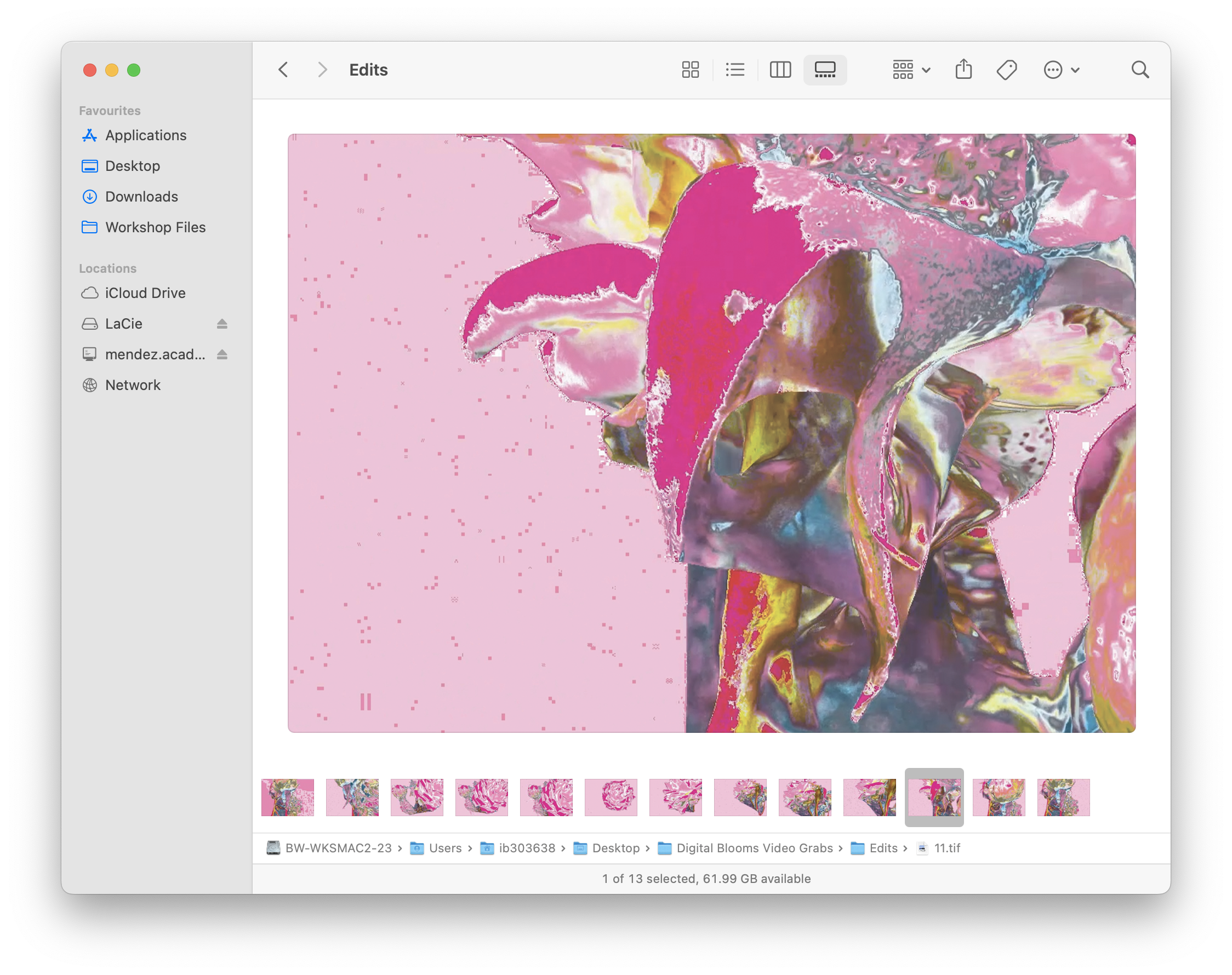 Digital Blooms (Moving image screen grabs).png