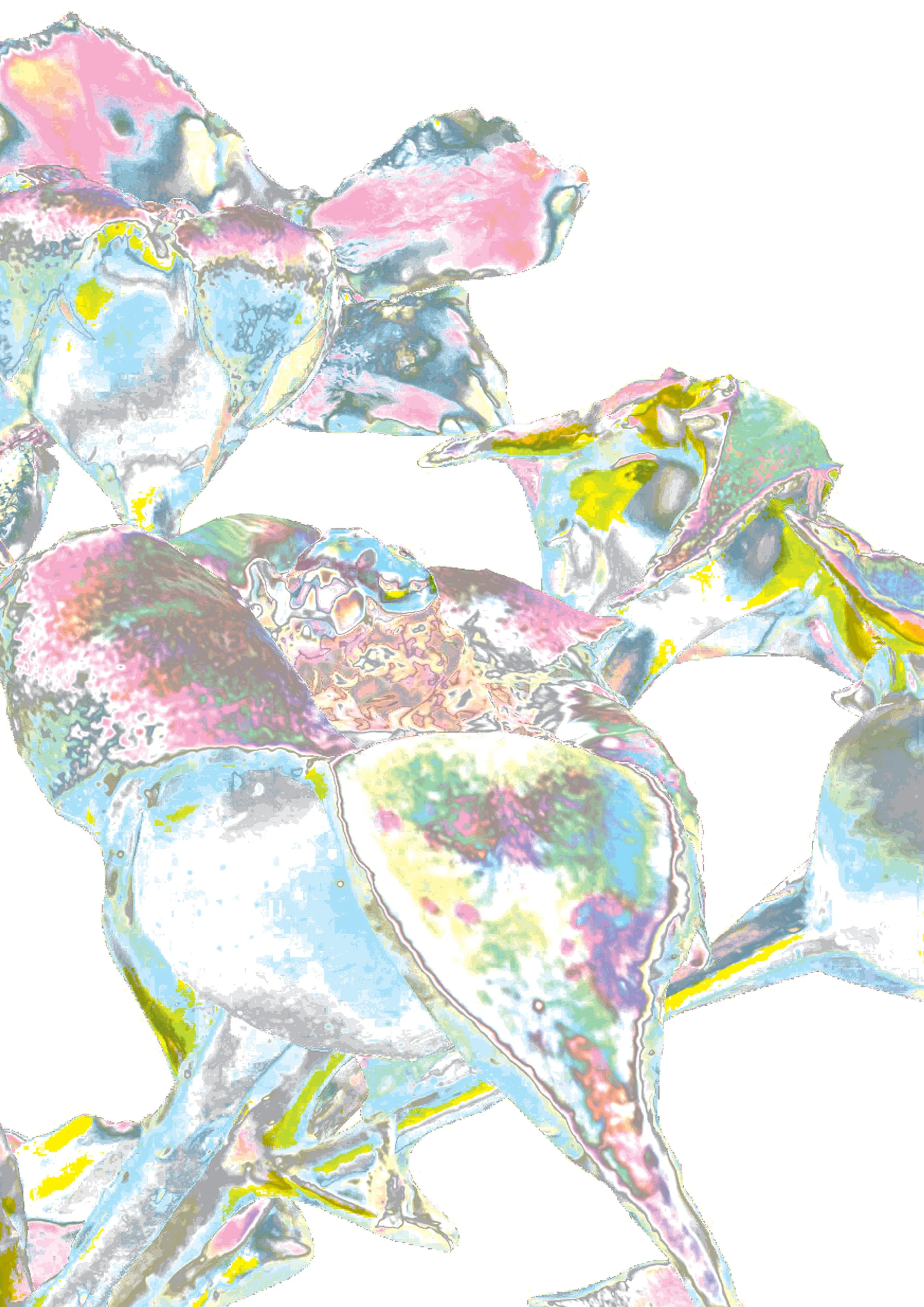 Digital Blooms 2.jpg