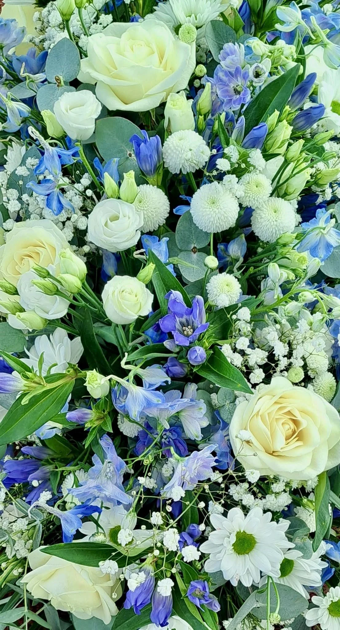 A close-up of a floral arrangement featuring white roses, blue delphiniums, white daisies, white chrysanthemums, baby's breath, and greenery.