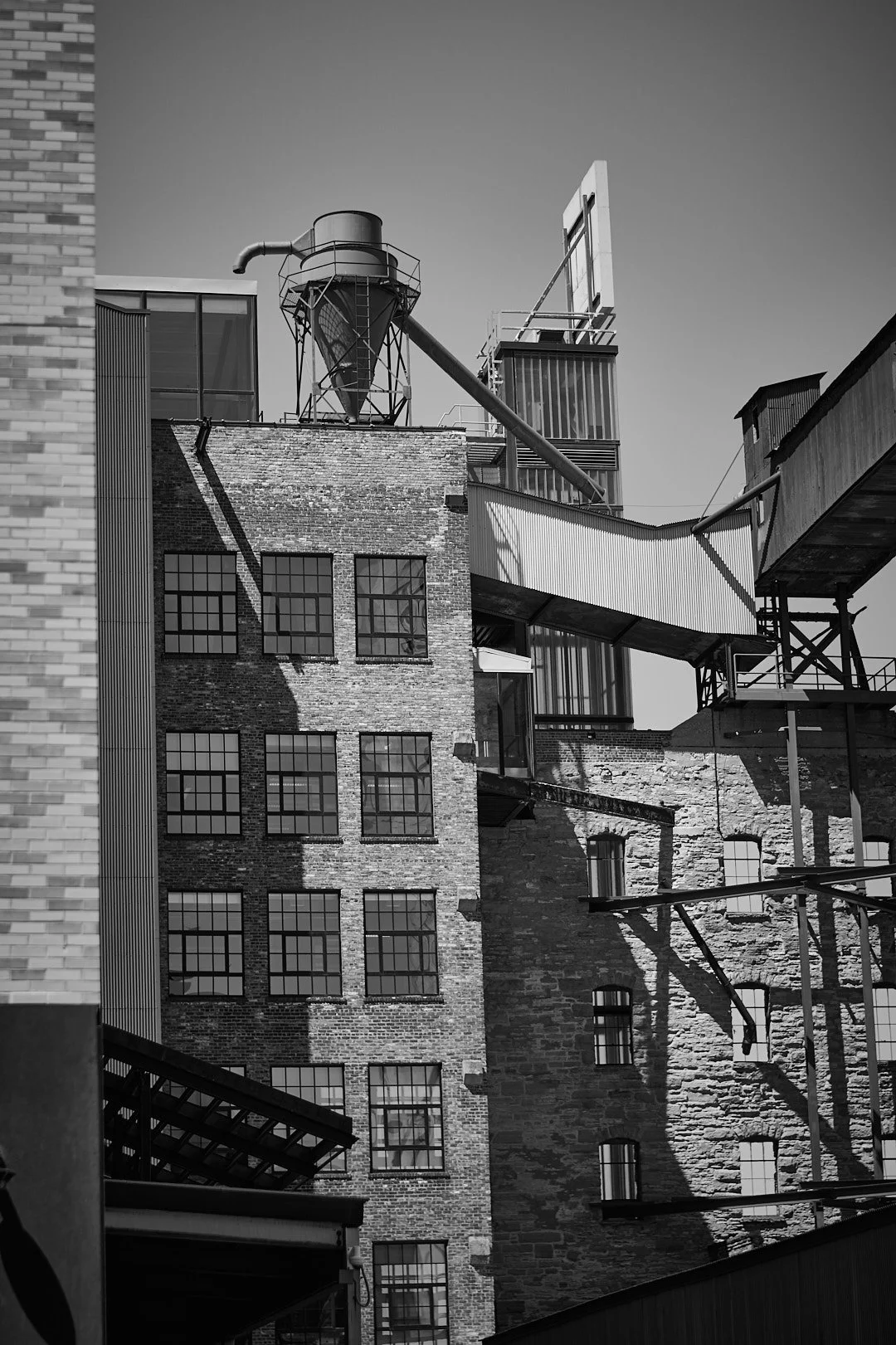 loring birds 20.jpg