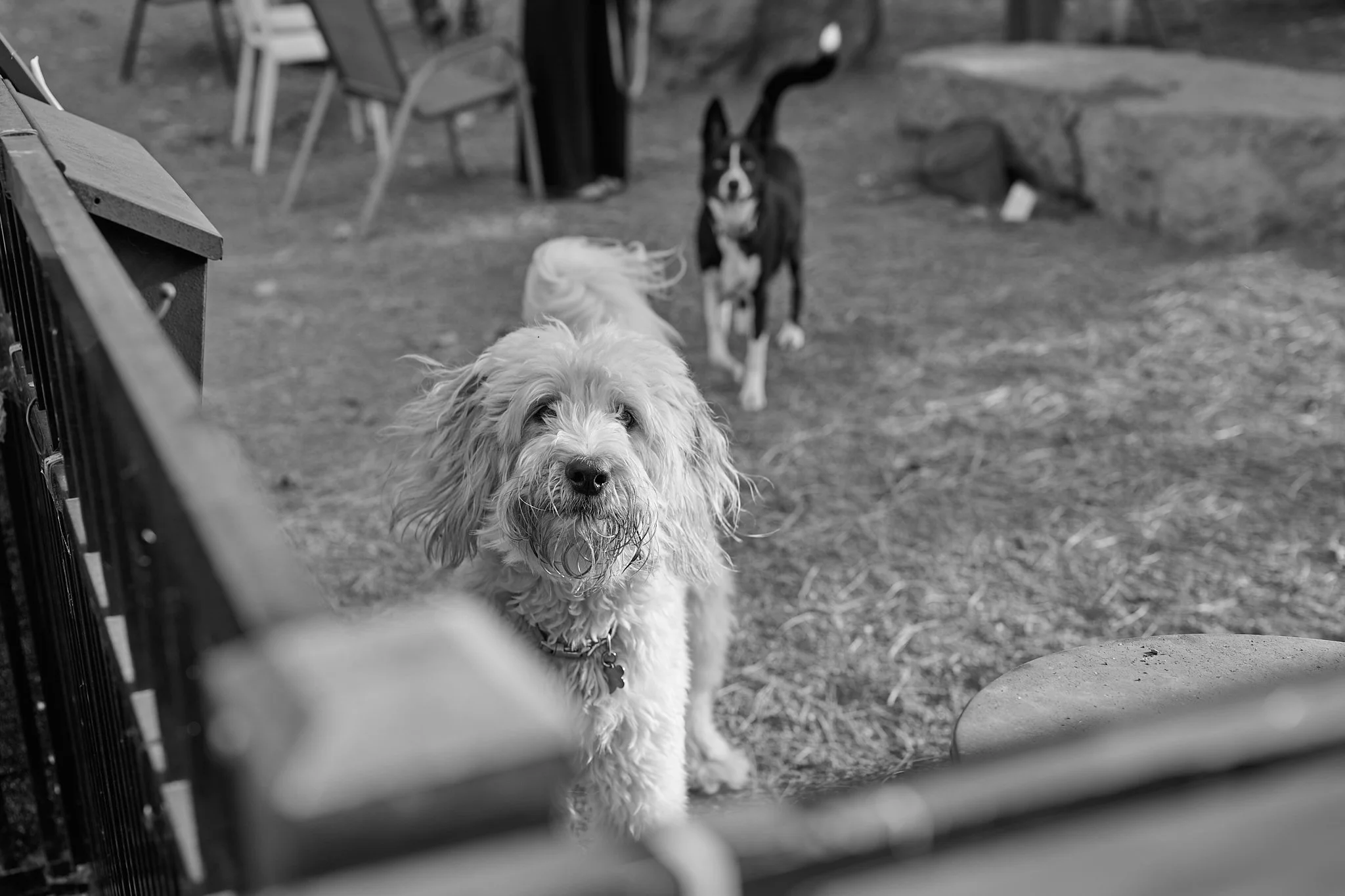 _DSC8458.jpg