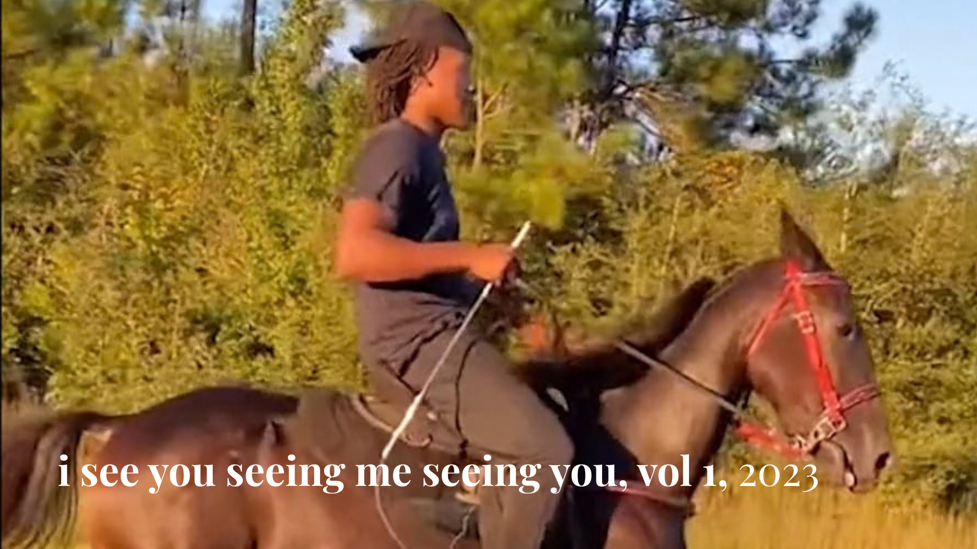 An ongoing experimental video work exploring the language, humor, complexity, and oppositional possibilities of Black digital culture on TikTok.

Role: Creator
