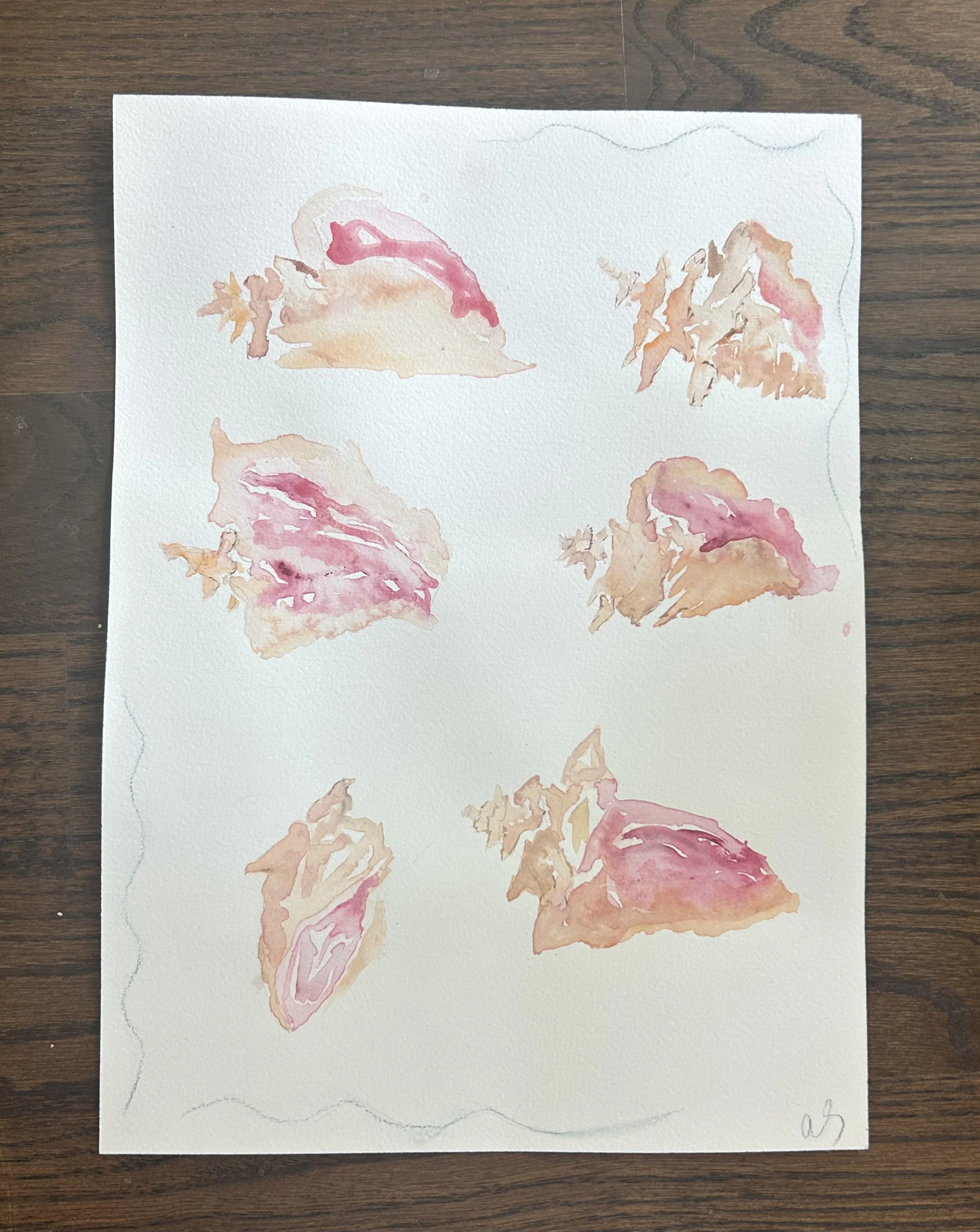 Gasparilla Conches