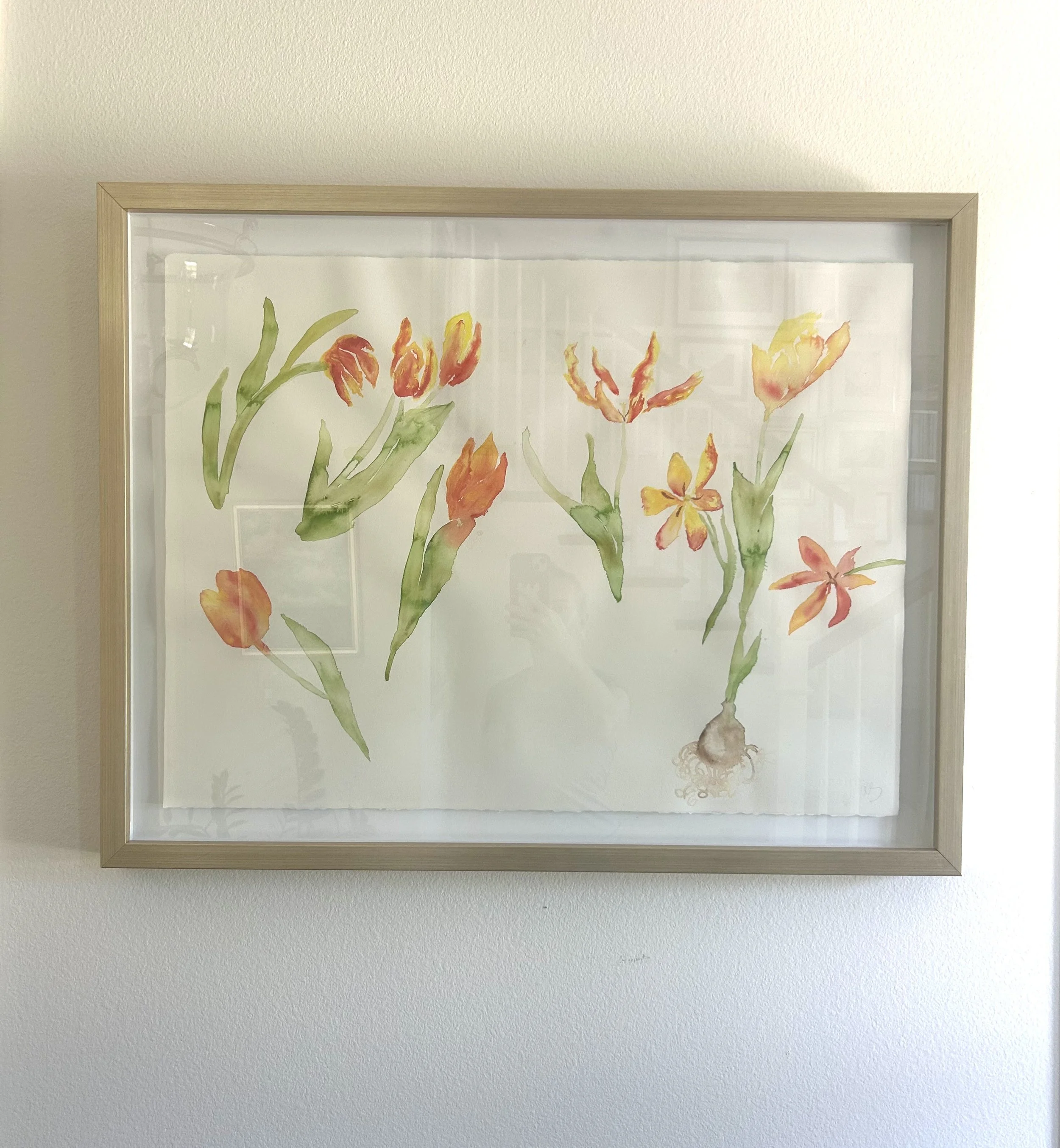 Tulips
