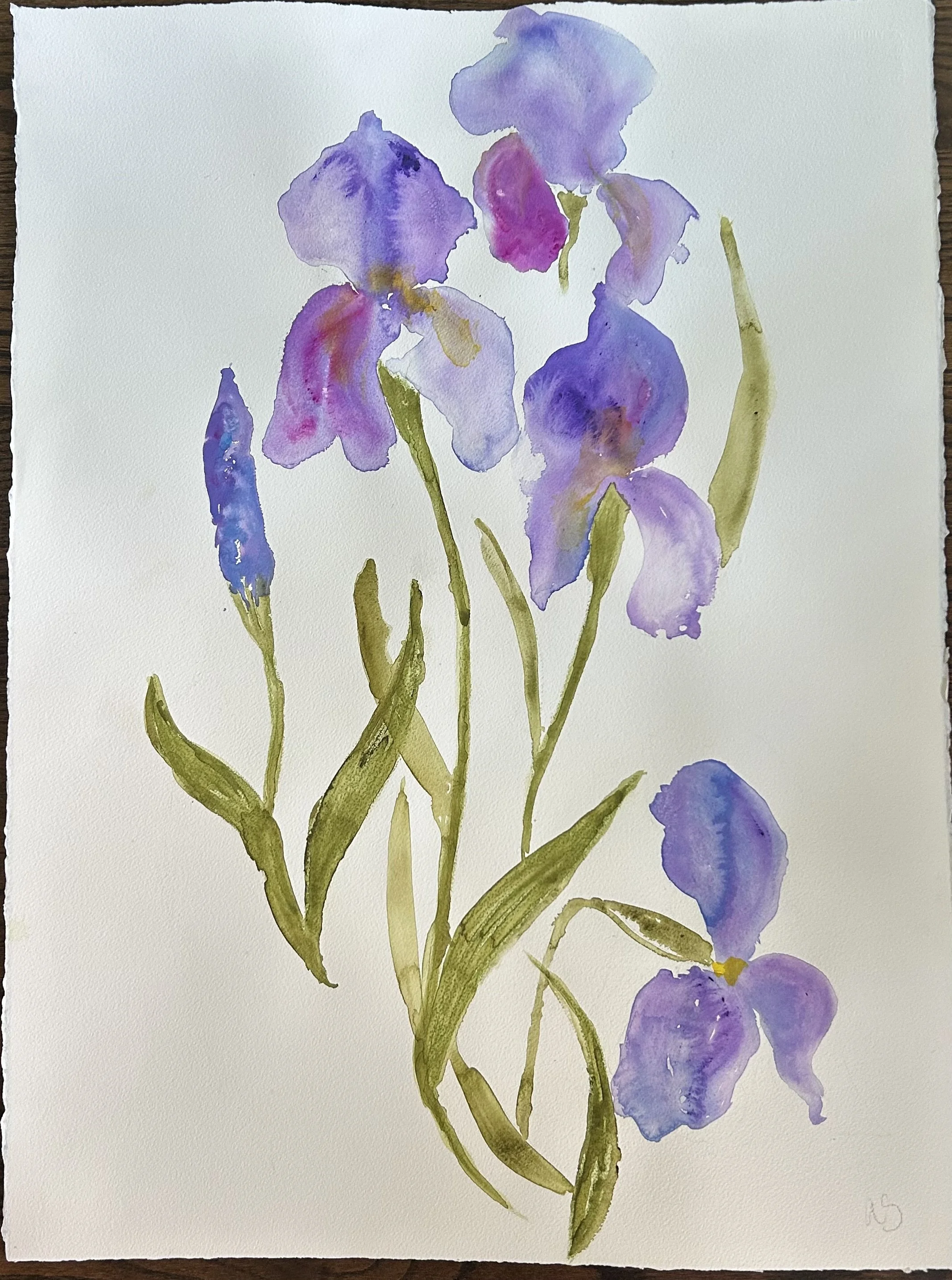 Iris 2