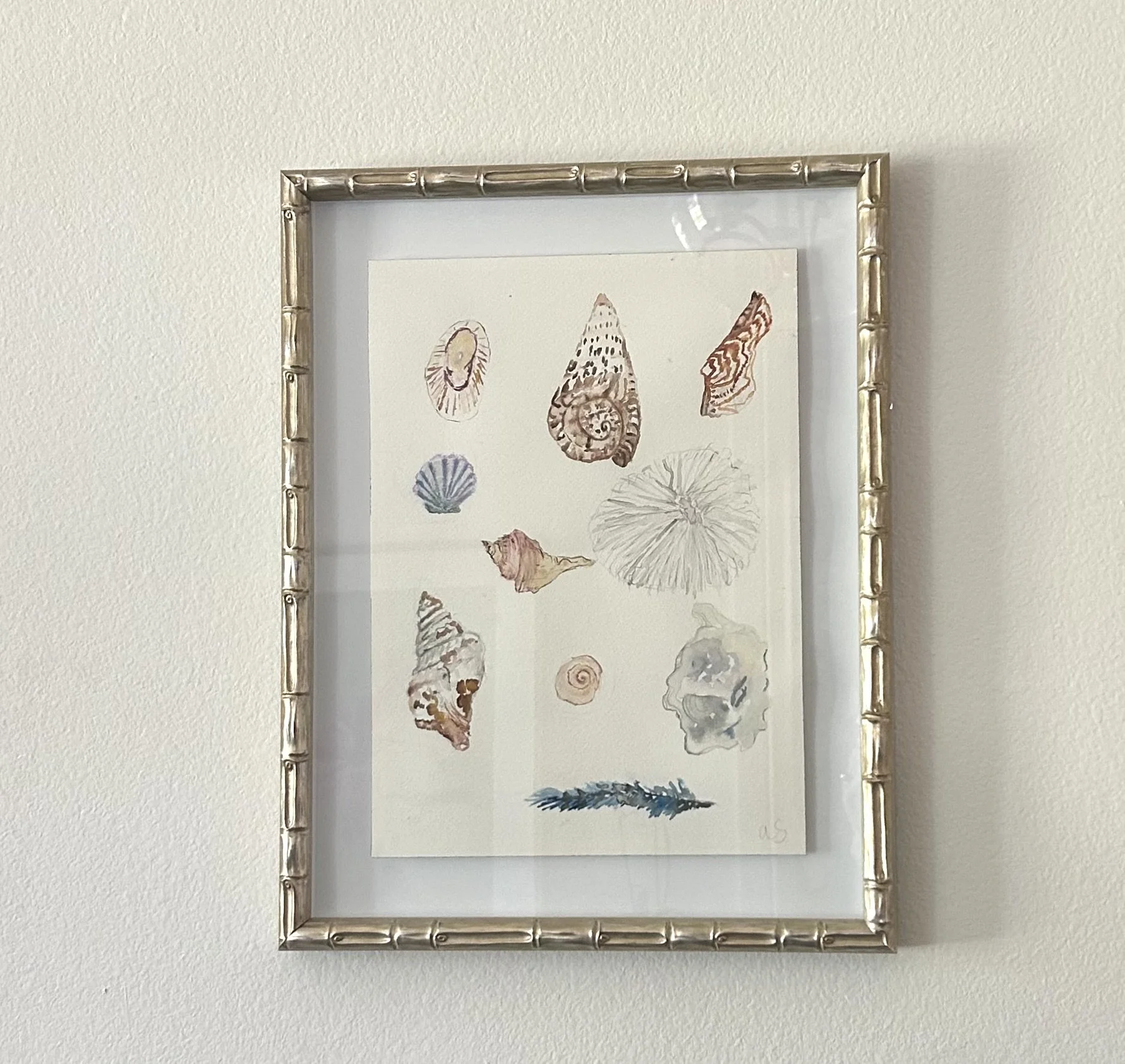 Shell Medley
