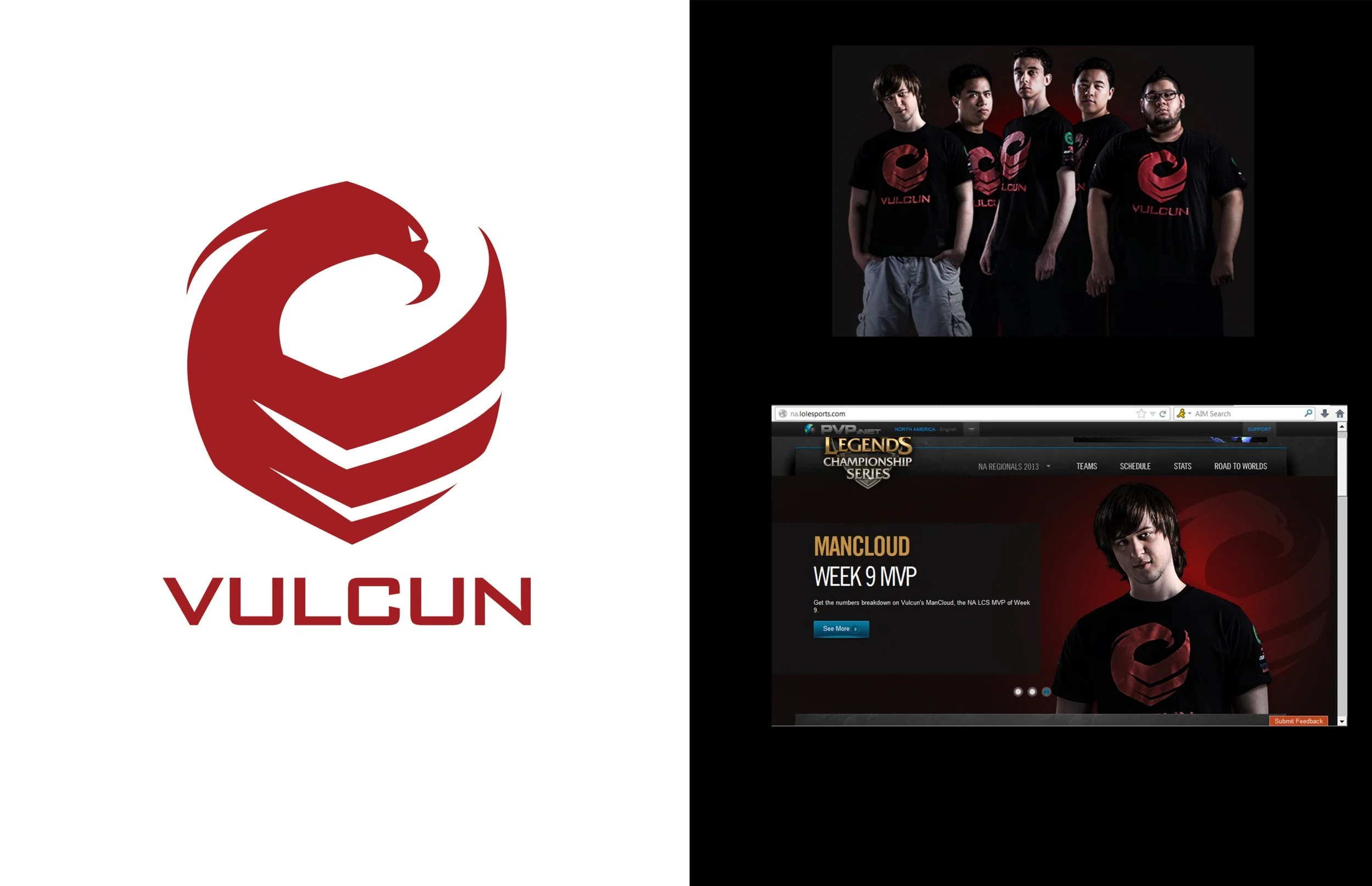 vulcun+logo.jpg
