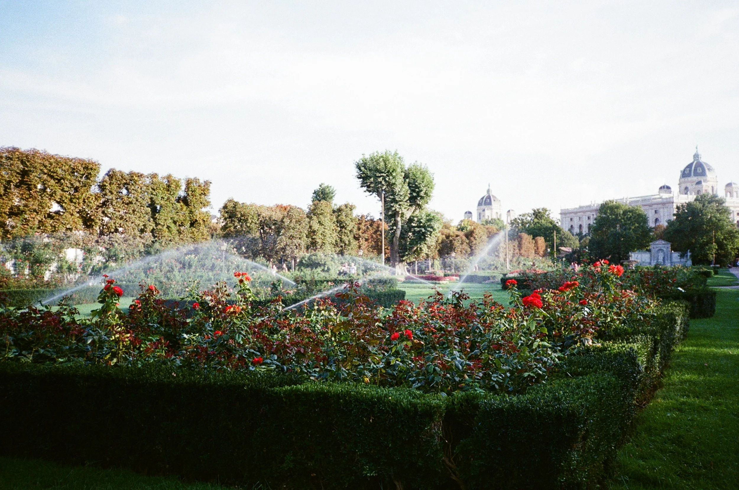 0008_8.jpg