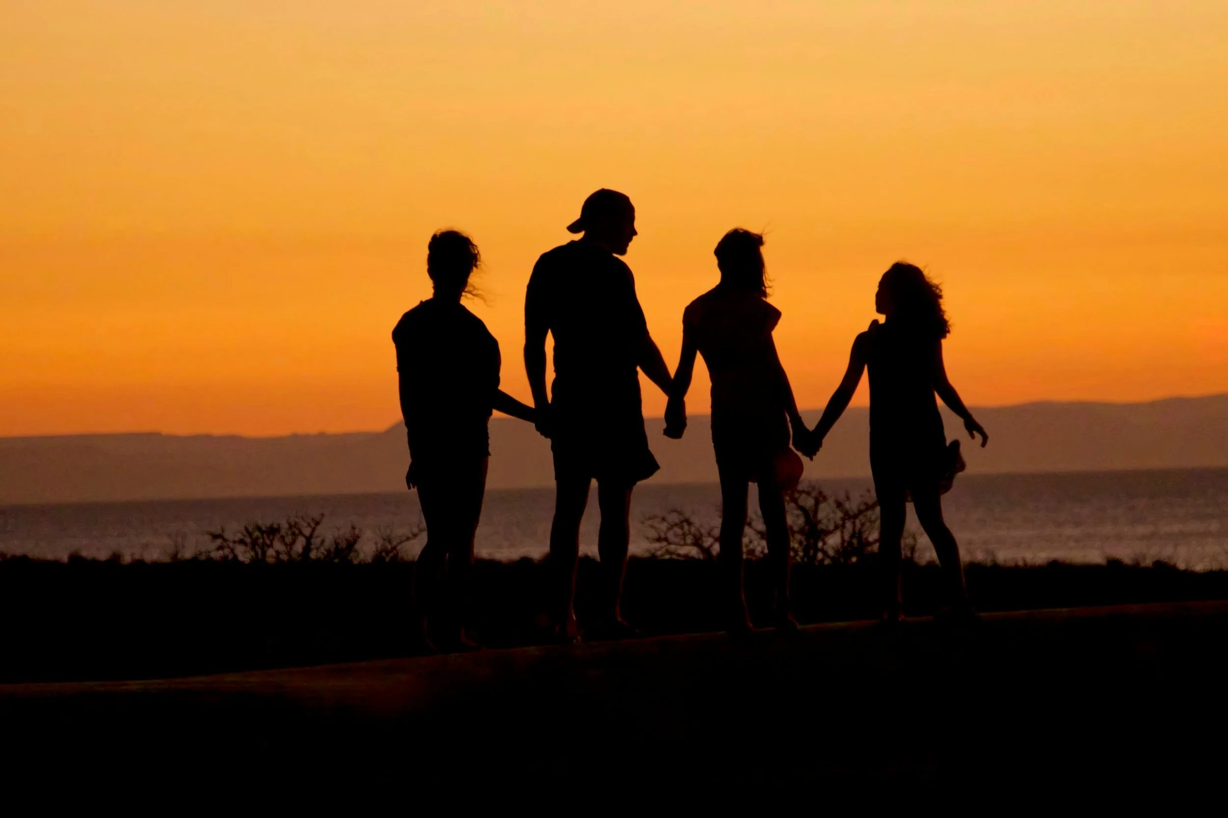 Do You Actually Need a Trust… Or Is a Will Enough?