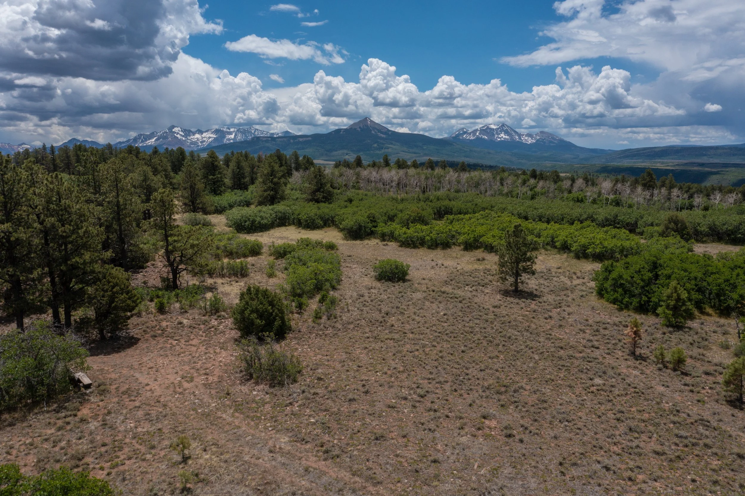 Specie Mesa-0421.jpg