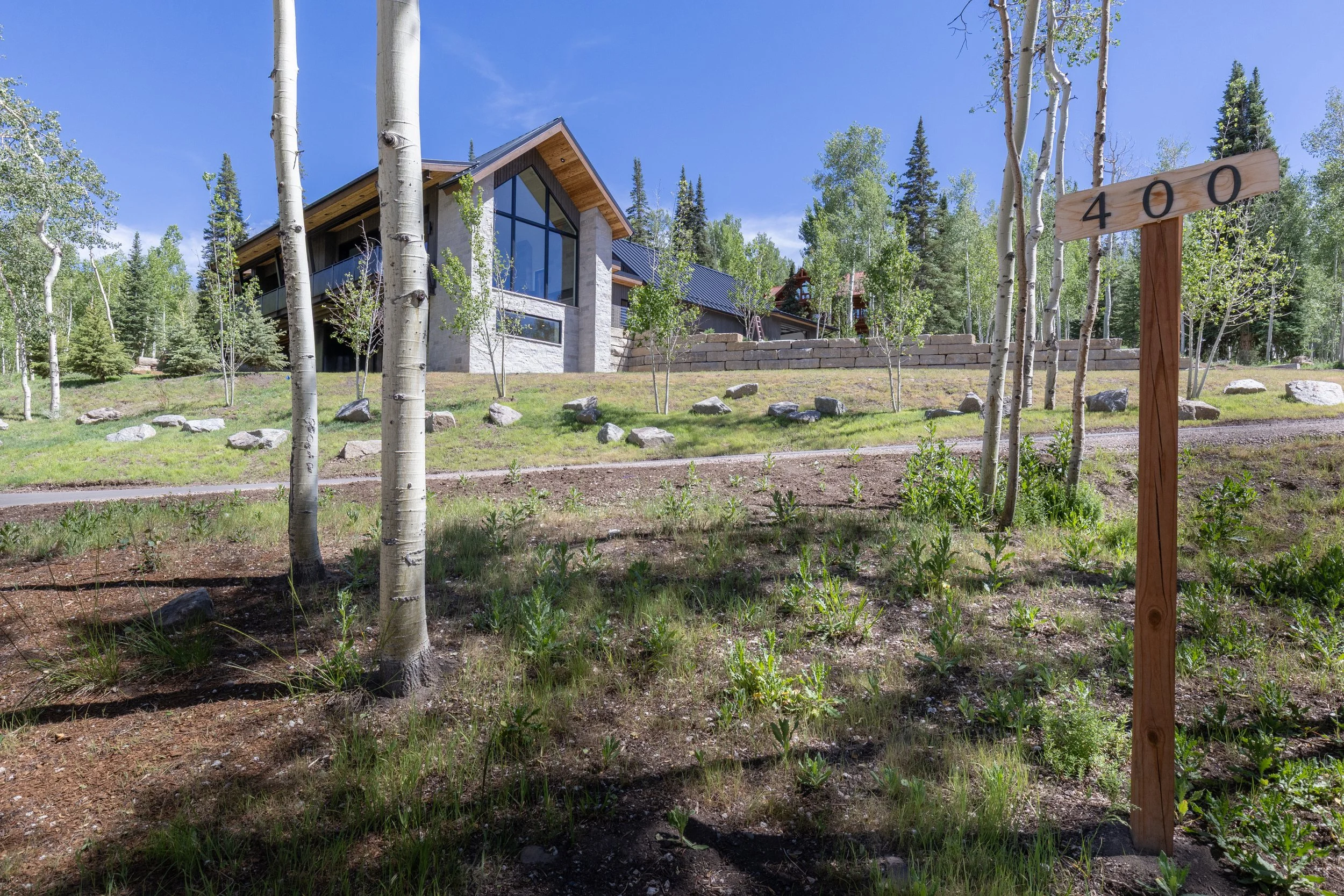 wapiti-9708.jpg