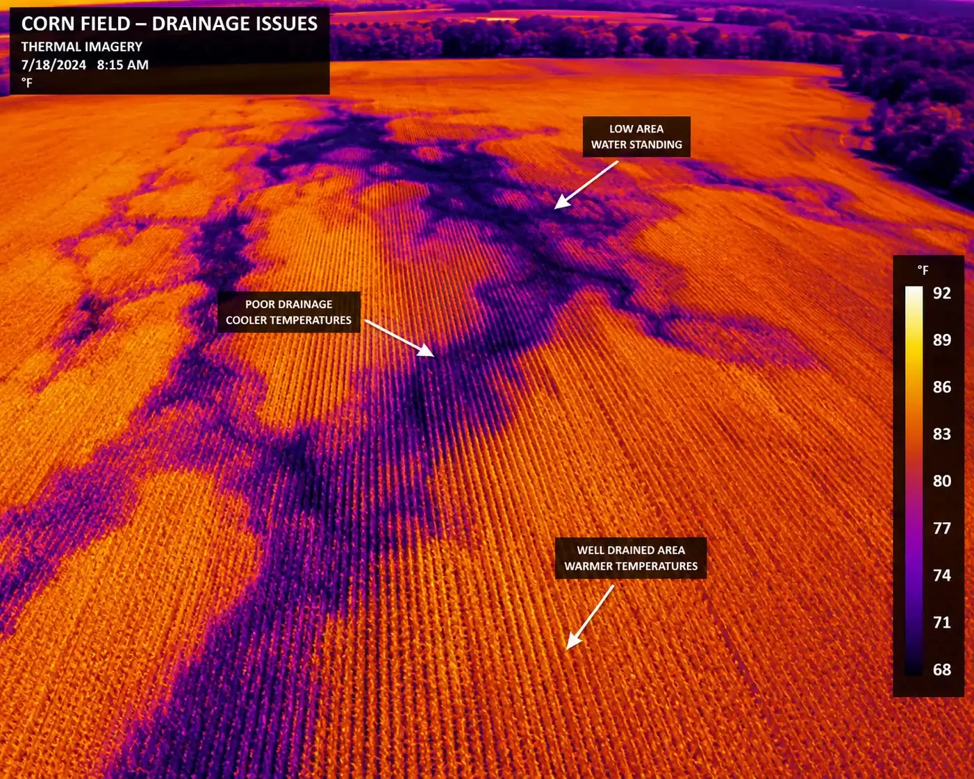 Thermal image of a corn field showing drainage issues