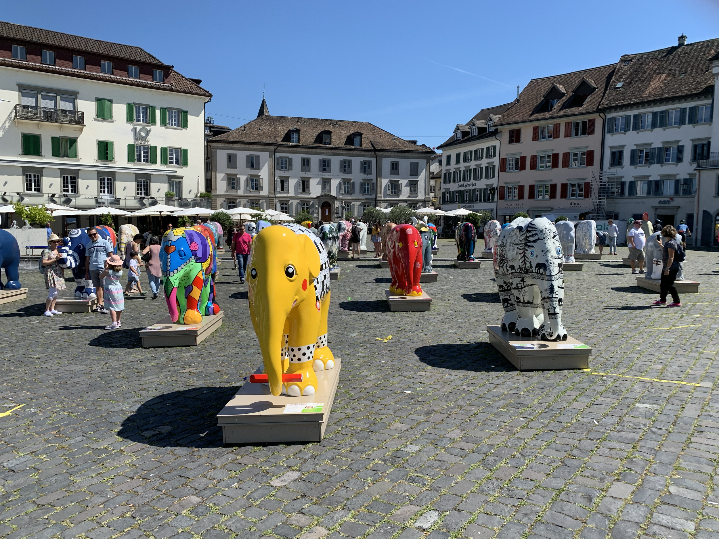 Elephant Parade: October 2024, Olma St. Gallen